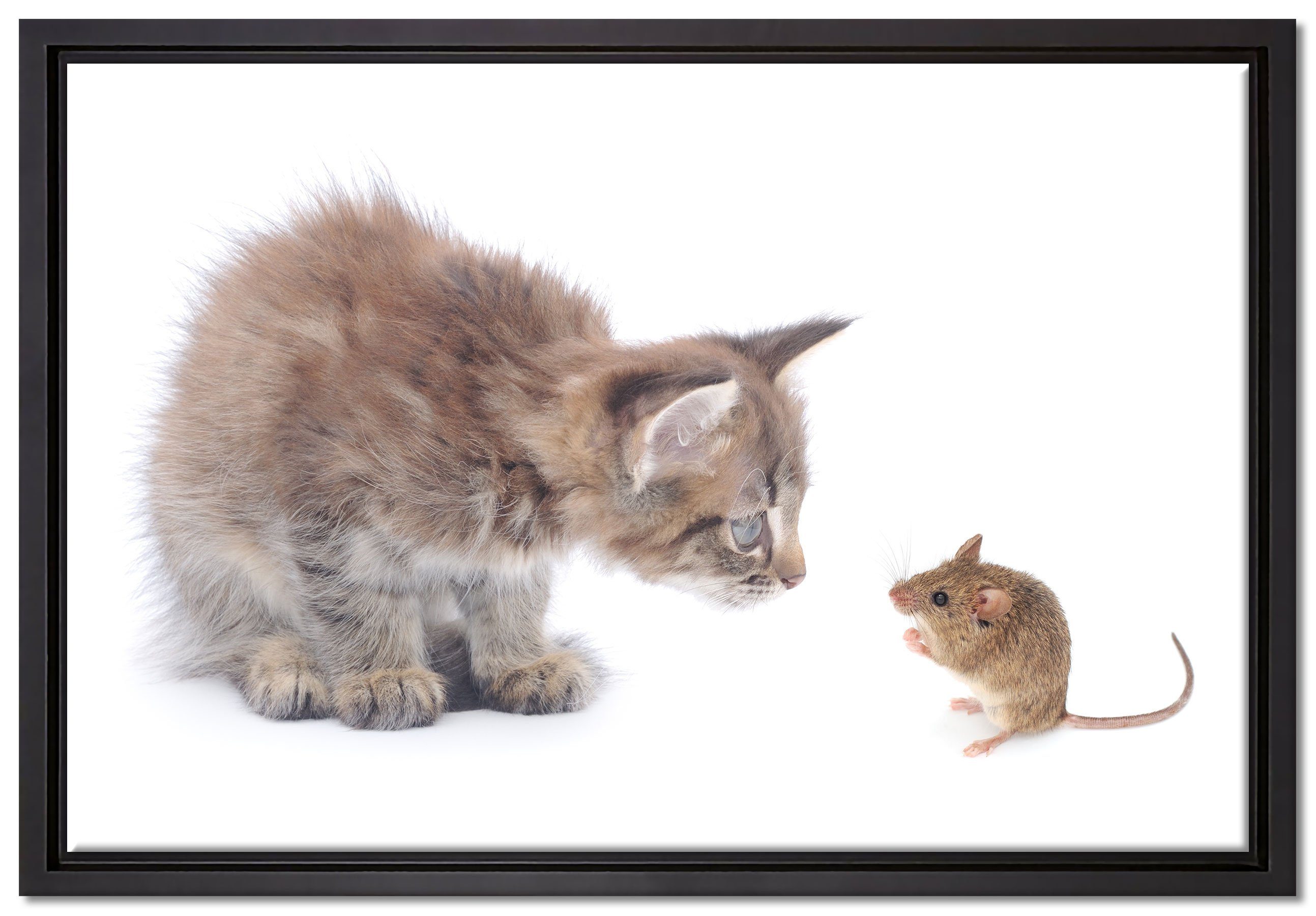 Pixxprint Leinwandbild Katze und Maus Freunde, Wanddekoration (1 St), Leinwandbild fertig bespannt, in einem Schattenfugen-Bilderrahmen gefasst, inkl. Zackenaufhänger