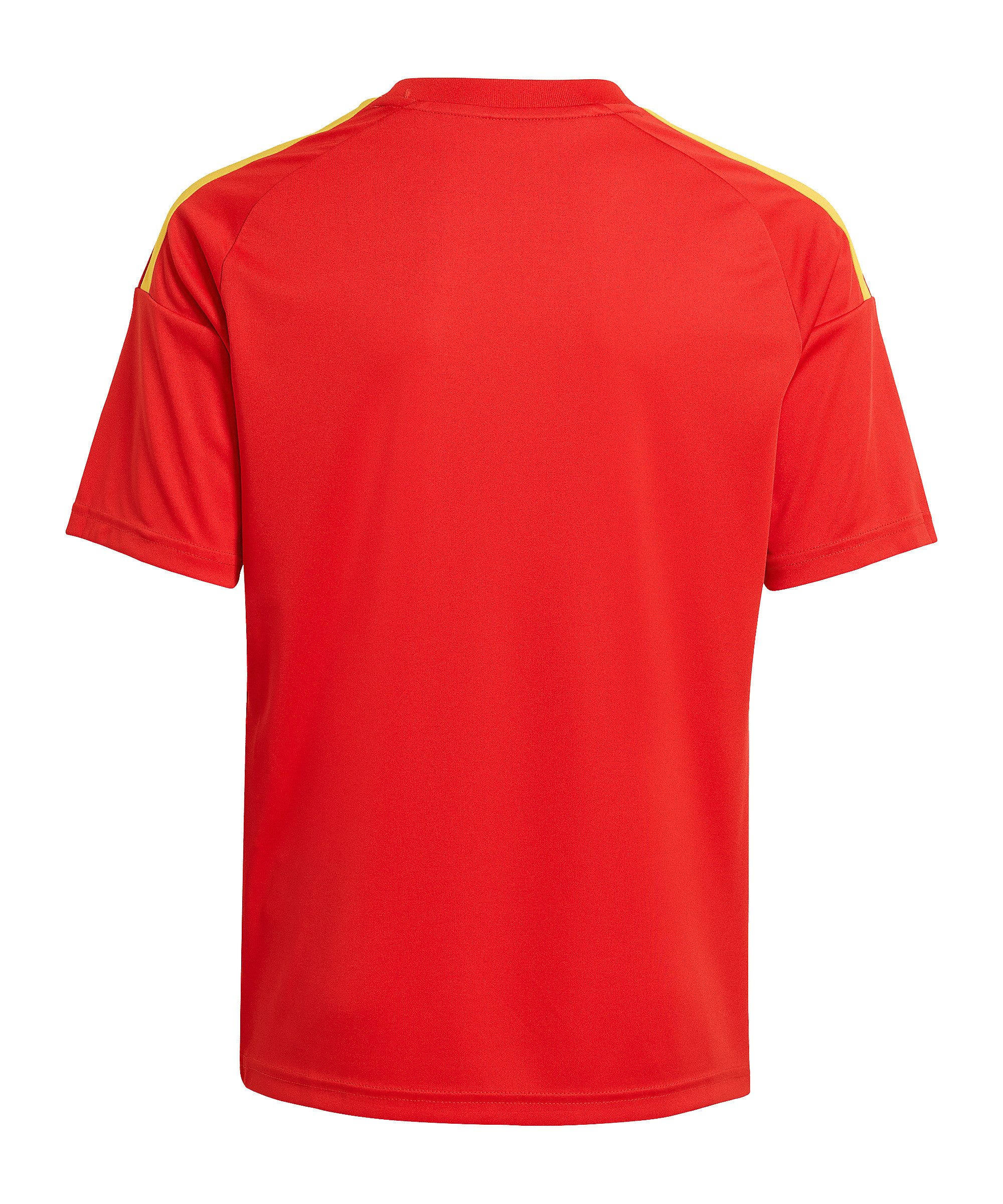 adidas Performance Fußballtrikot adidas Performance Weltmeisterschaft