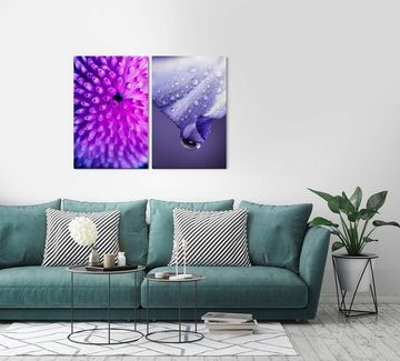 Sinus Art Leinwandbild 2 Bilder je 60x90cm Koralle Unterwasser Wasserperle Wassertropfen Blume Blüte Makrofotografie