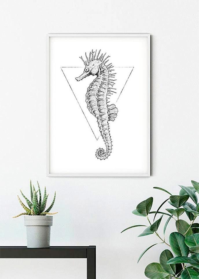 Tiere Kinderzimmer, Schlafzimmer, Poster (1 St), Komar Wohnzimmer White, Sea Horse