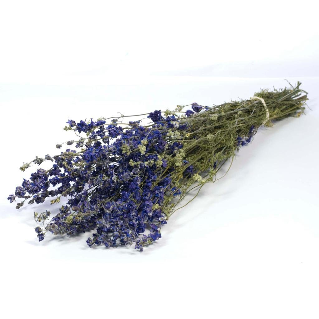 Trockenblume Delphinium natur blau im Bund ca. 60cm Rittersporne getrocknet, NaDeco