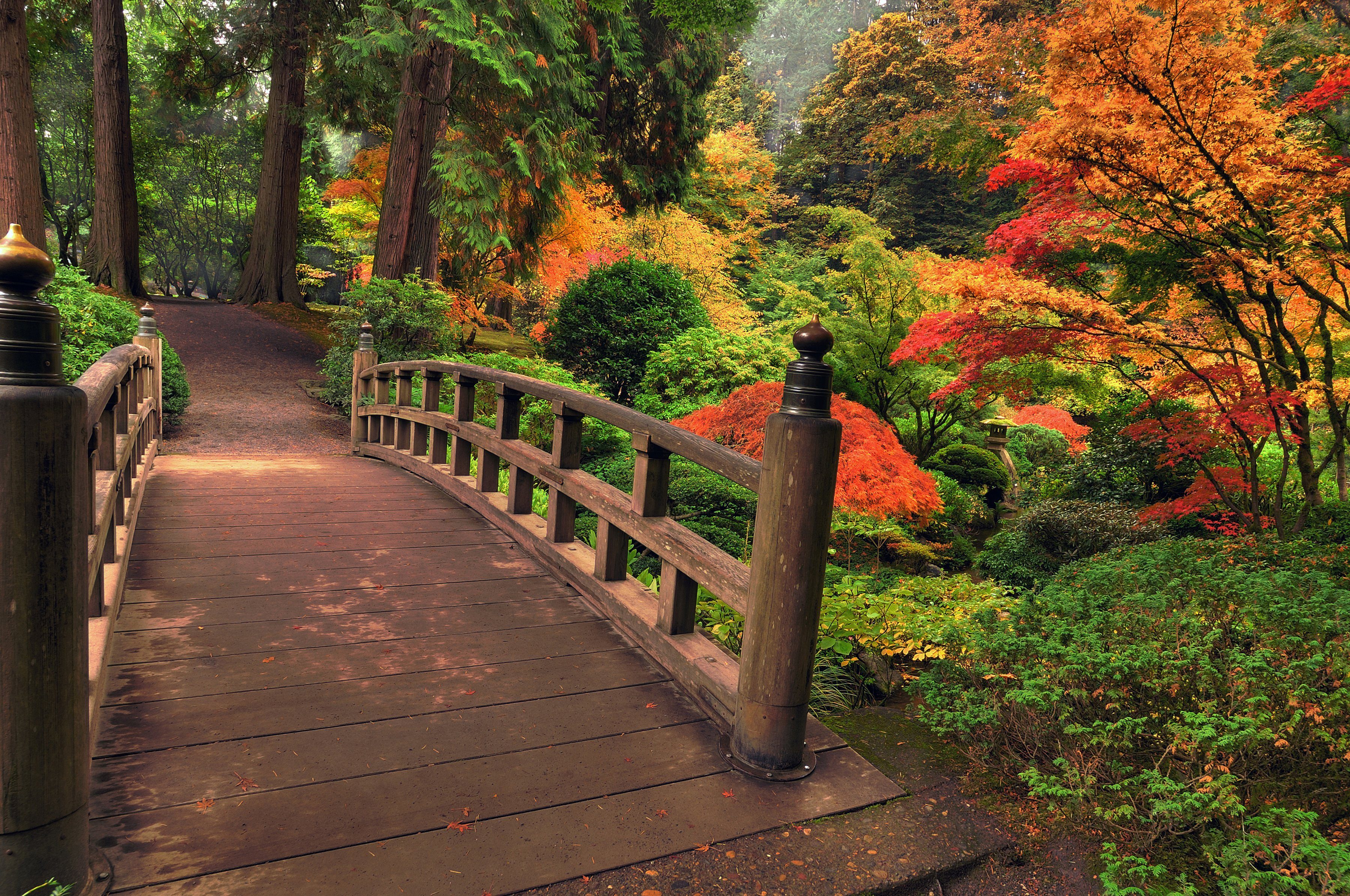 Papermoon Fototapete »Autumn Bridge«, glatt-Otto