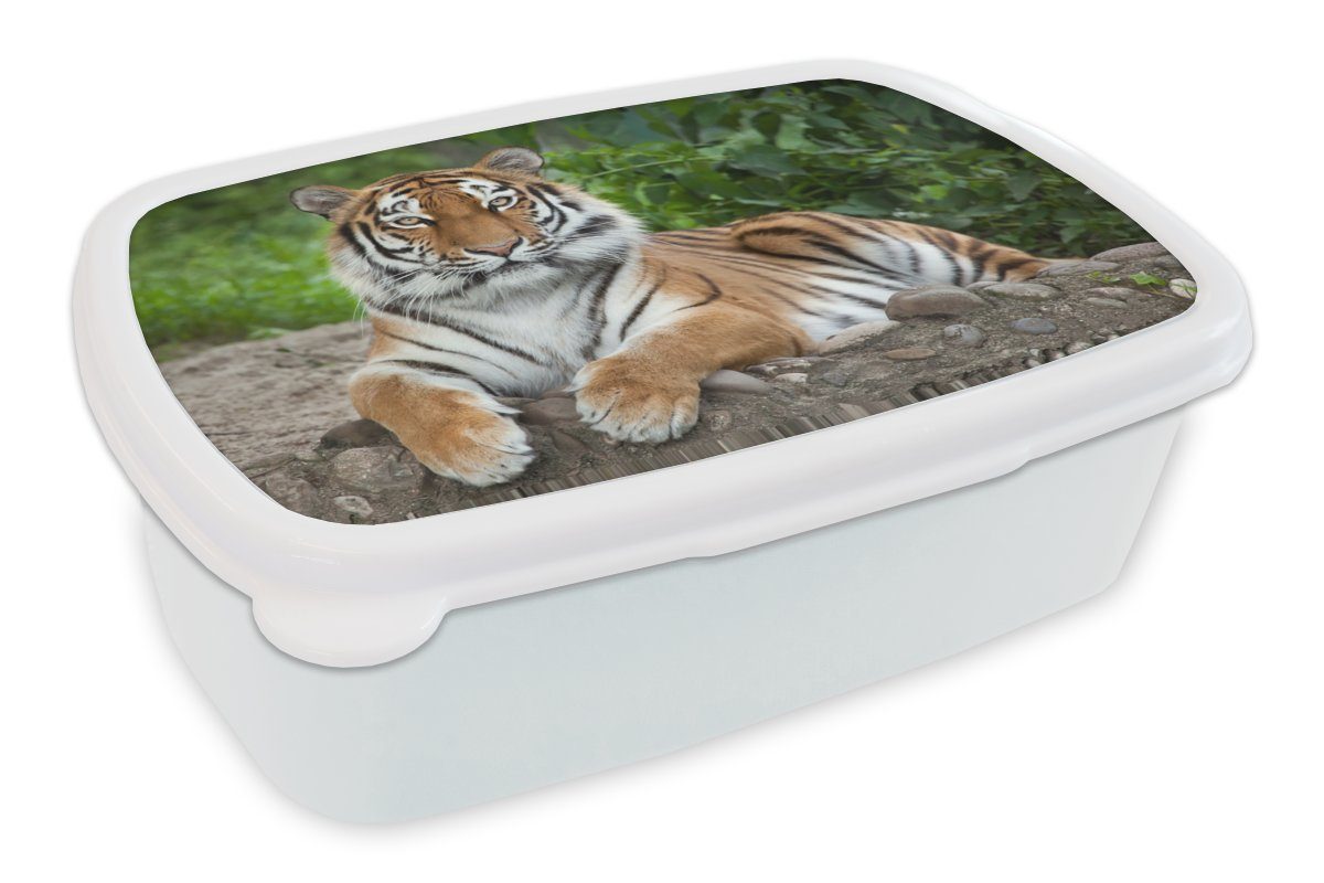 für MuchoWow Steine, Kinder Natur Erwachsene, Lunchbox Tiger Jungs weiß Mädchen für (2-tlg), - Brotdose, und Brotbox Kunststoff, und -