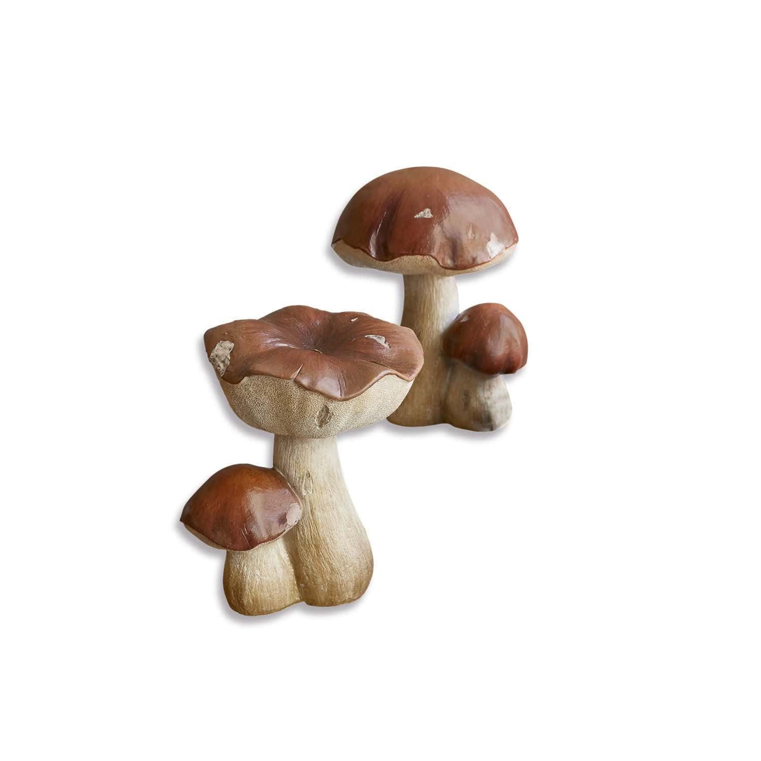 Dekoobjekt Deko-Pilz 2er Set Beenie braun