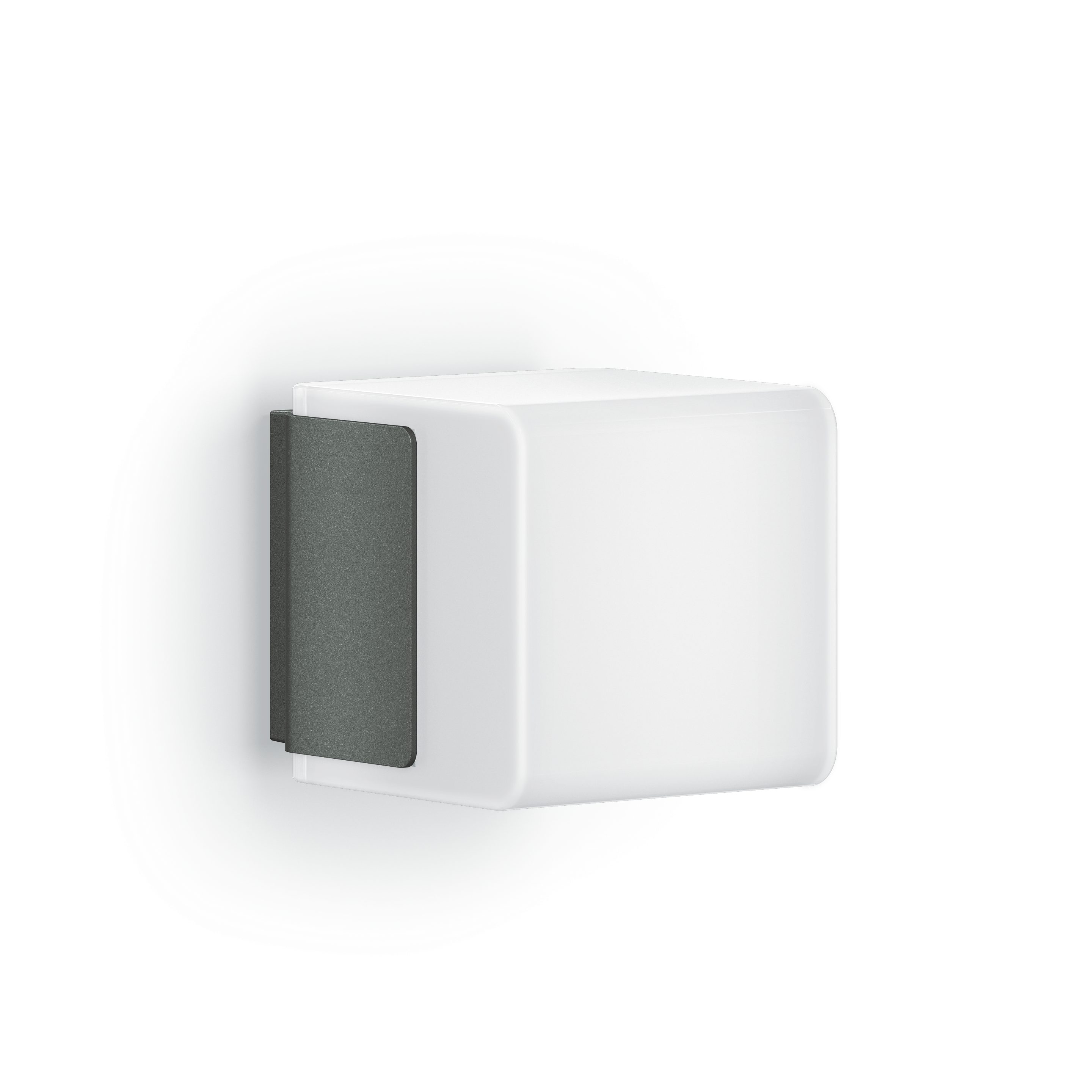 steinel LED Außen-Wandleuchte L 835, ohne Bewegungsmelder mit Bluetooth, LED fest integriert, Warmweiß, einstellbar via App, 3000K