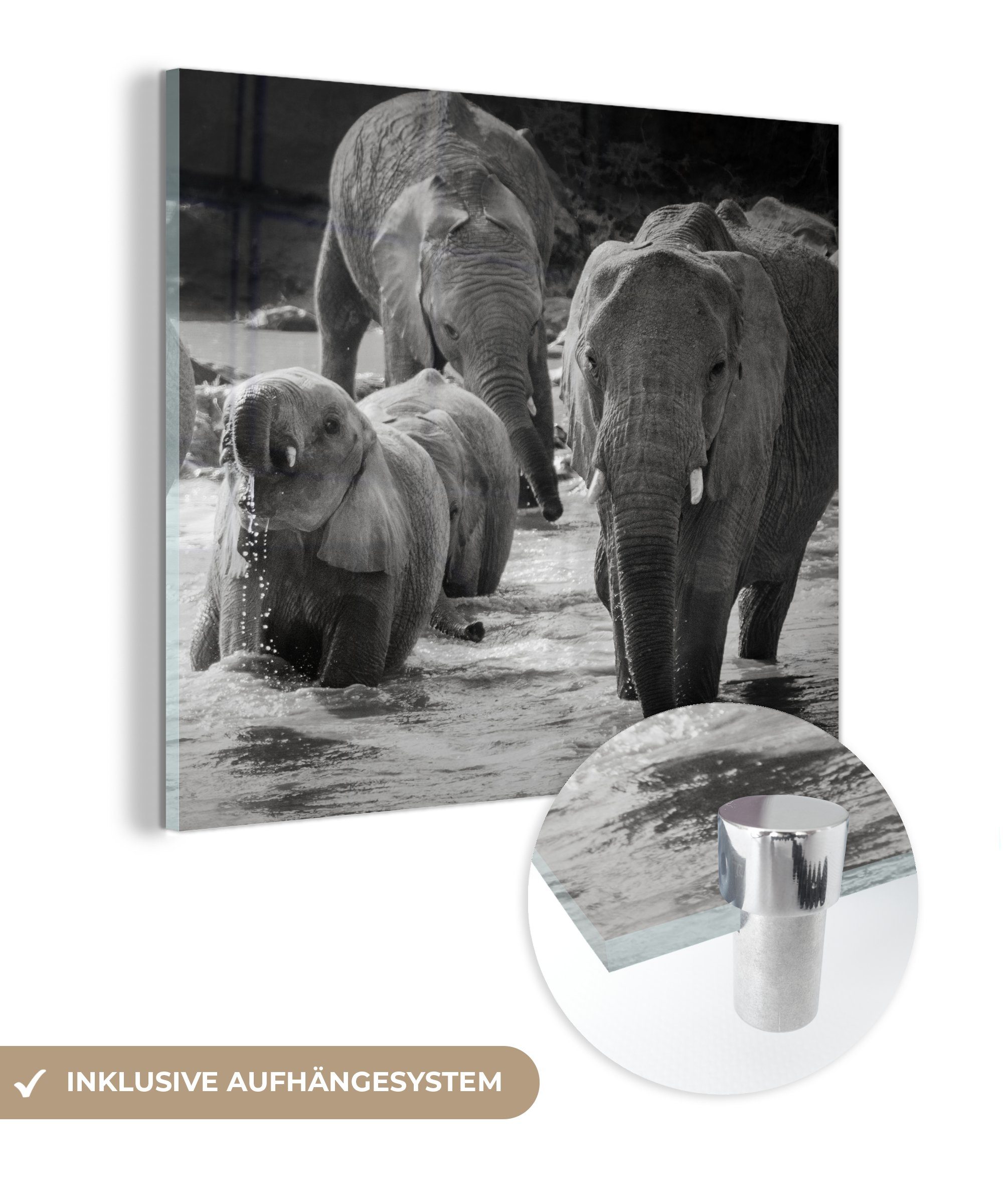 MuchoWow Acrylglasbild - Schwarz - (1 und Bilder Glasbilder Tiere Wandbild weiß, Glas - Foto Elefant - auf auf Wanddekoration - - St), Wasser Glas