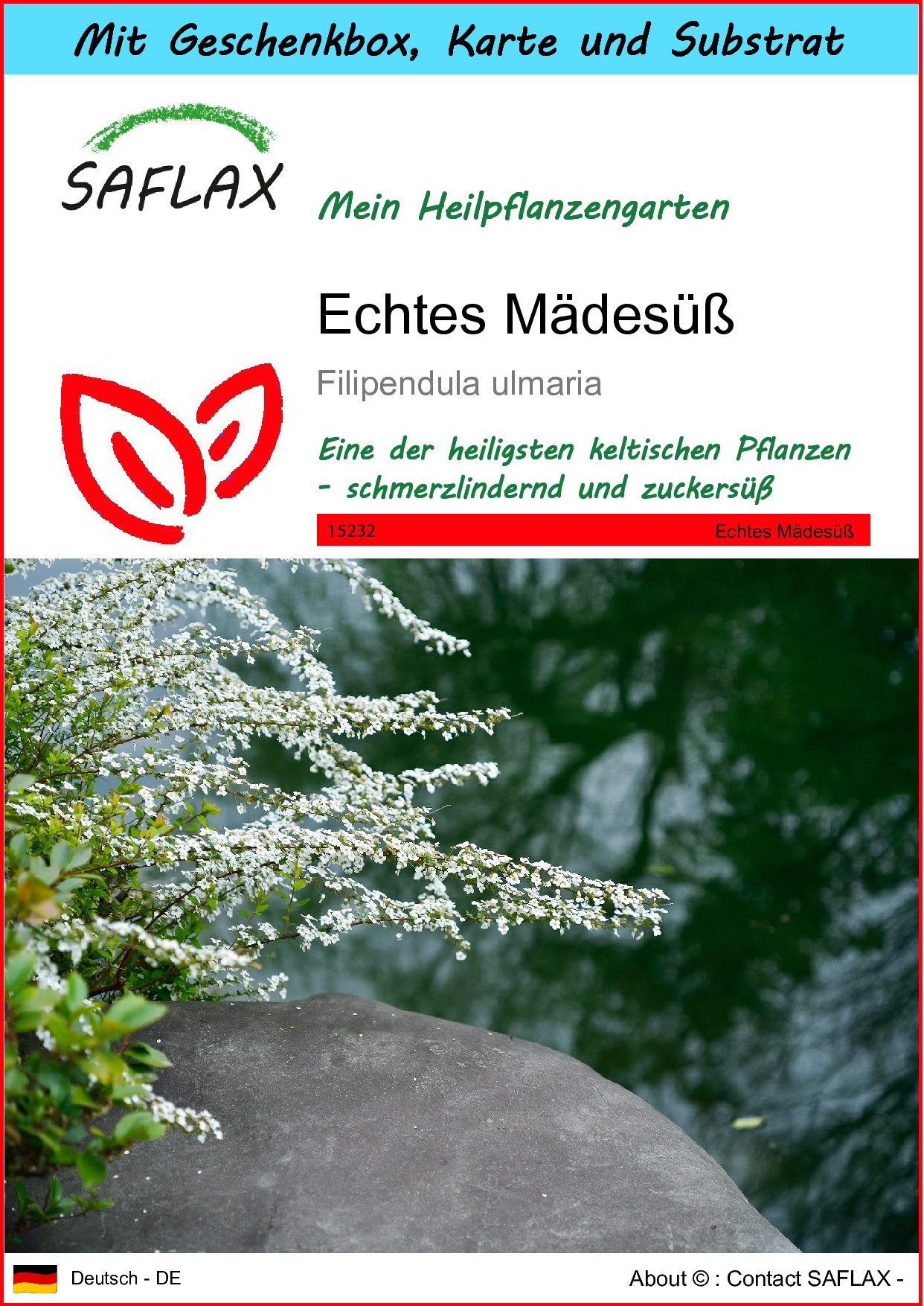 SAFLAX Blumensamen SAFLAX - Geschenkset - Echtes Mädesüß