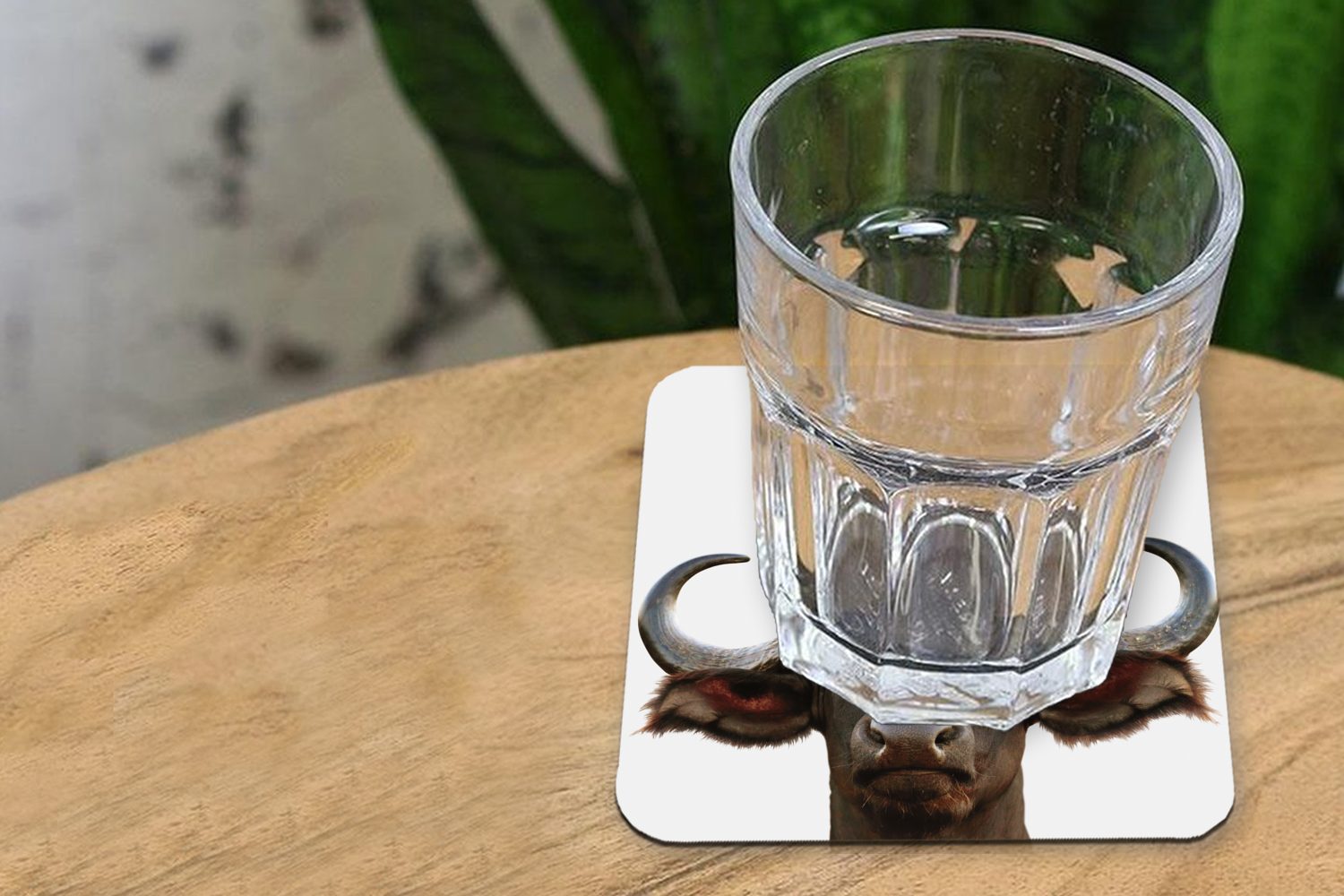 MuchoWow Glasuntersetzer Büffel - Wasserbüffel Glasuntersetzer, Zubehör Tasse für - - Kuh Tischuntersetzer, Mädchen, Untersetzer, 6-tlg., - Jungen Hörner Korkuntersetzer, Gläser, - - Kopf