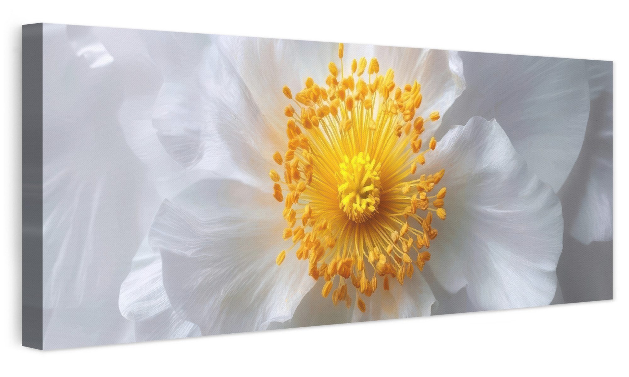OneMillionCanvasses® Leinwandbild Panorama Weiß - Blume - Elegant, Fotodruck (1 St), Wandbild, Deko Schlafzimmer Wohnzimmer Flur 60x20 cm