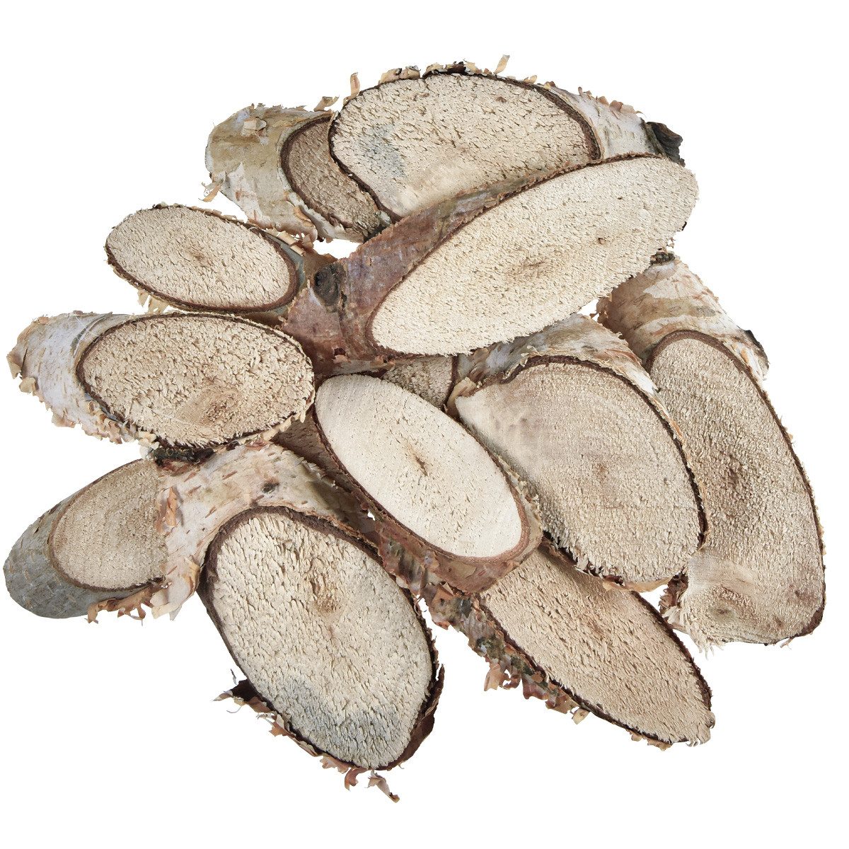 Trockenblume Holzscheiben Birke oval Deko-Basteln Natur 4-9cm 450g