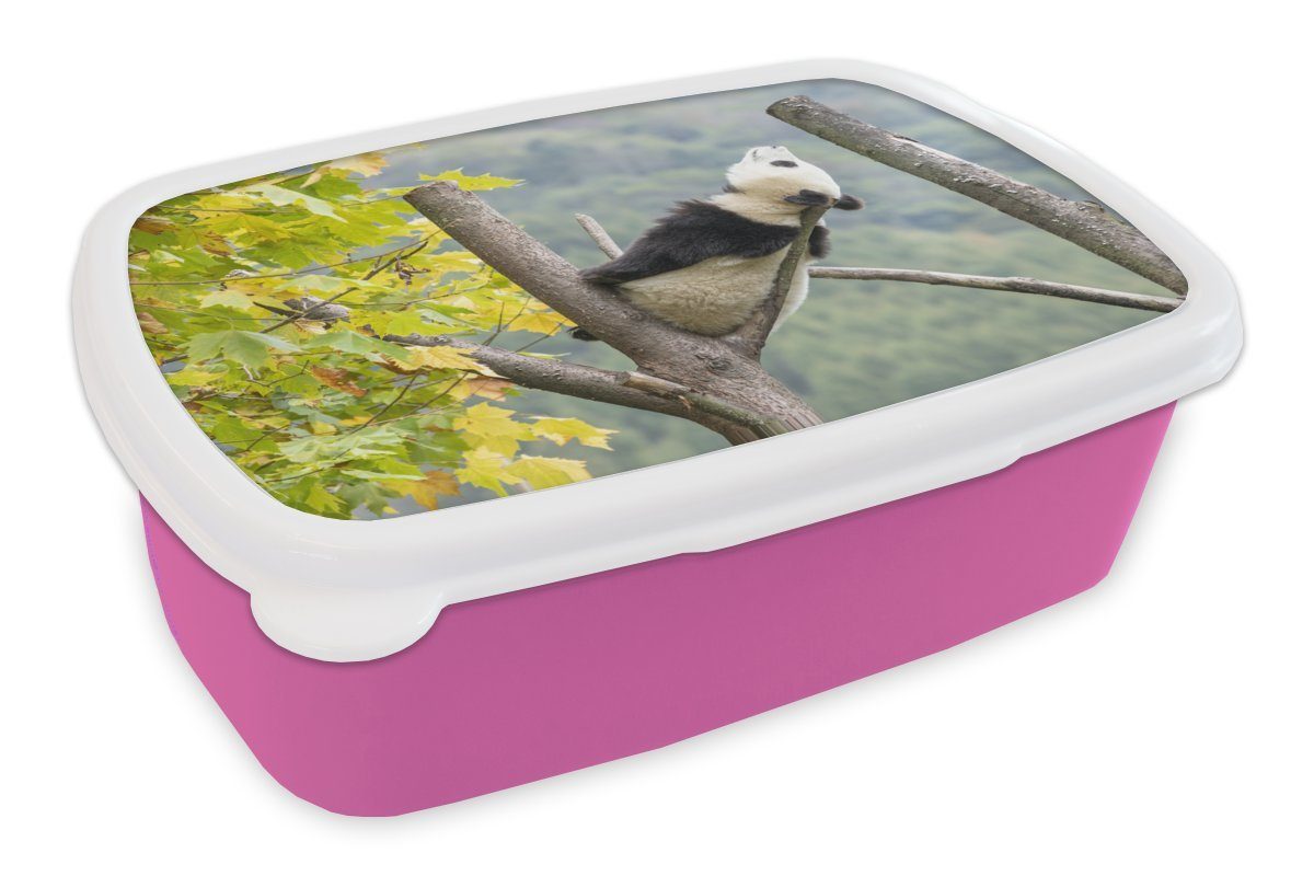 MuchoWow Lunchbox Panda - Zweig - Blätter, Kunststoff, (2-tlg), Brotbox für Erwachsene, Brotdose Kinder, Snackbox, Mädchen, Kunststoff rosa