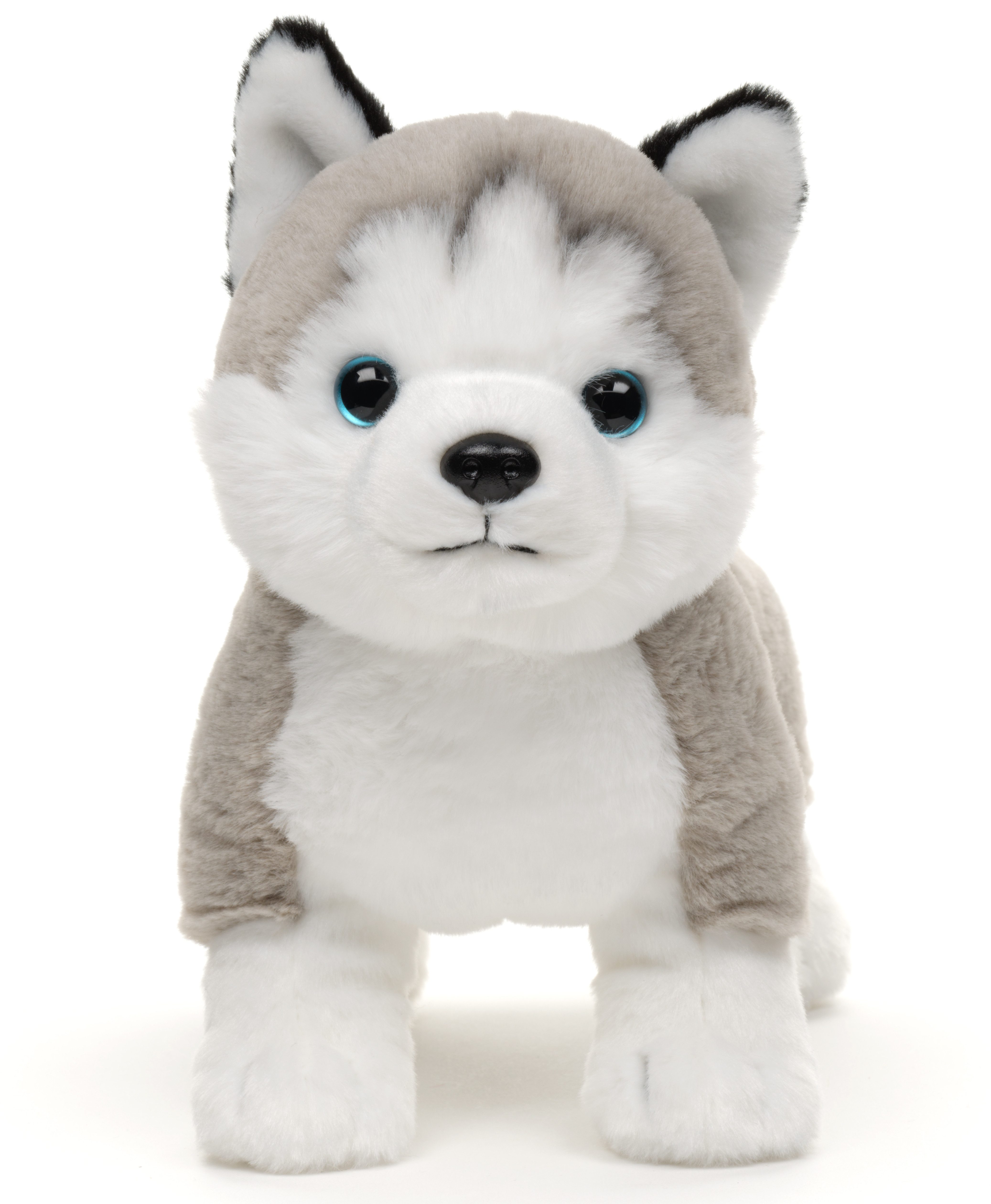 Uni-Toys Kuscheltier Husky grau, stehend - Mit/ohne Leine - 30 cm (Länge) - günstig online kaufen