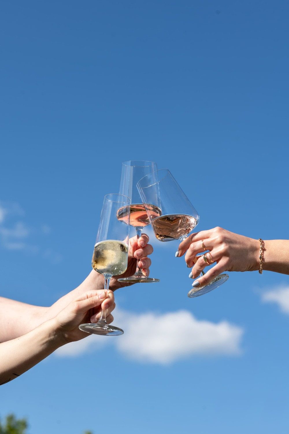 SCHOTT-ZWIESEL Gläser-Set MioVino Wein- & Sektgläser 12er Set, 12-tlg., Glas