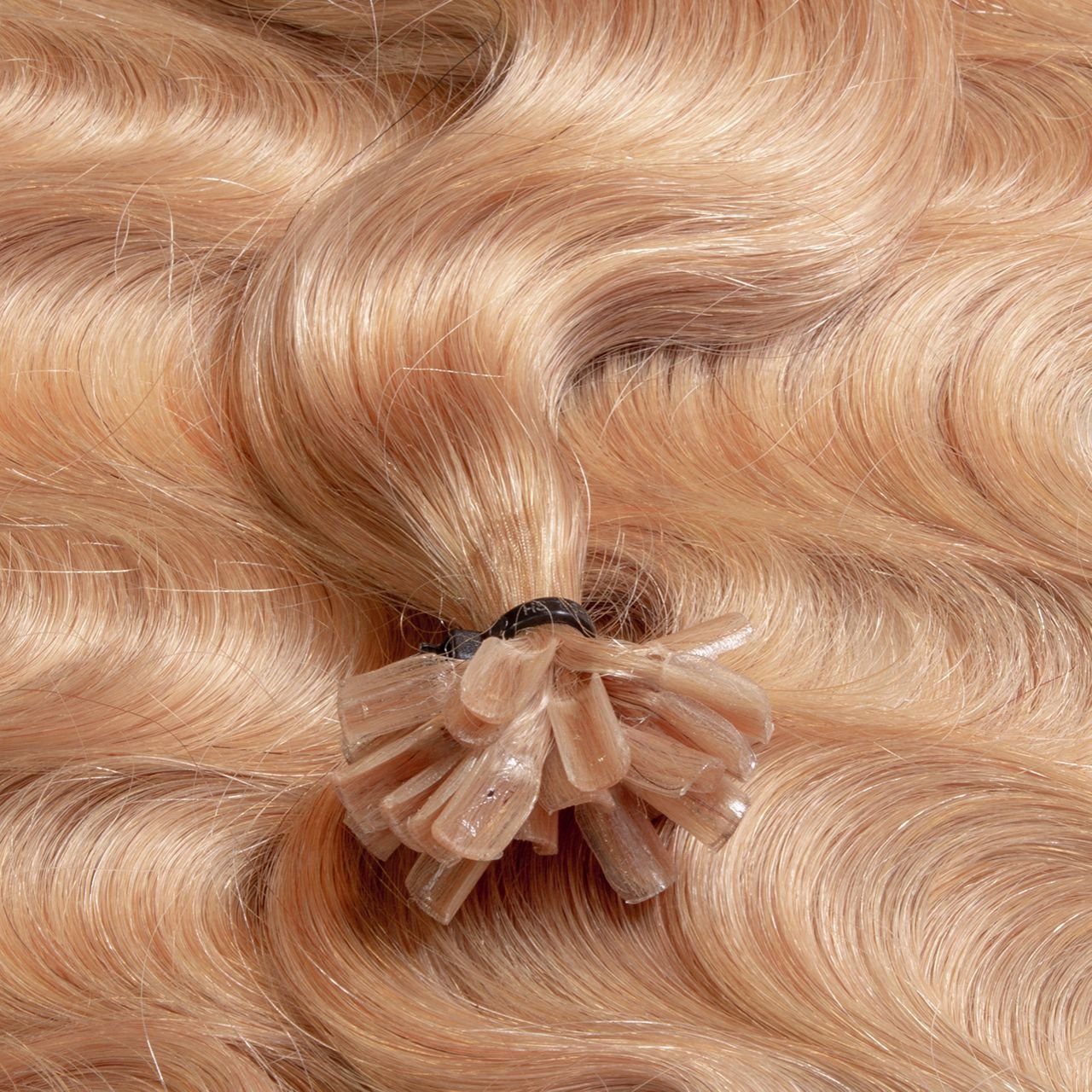 Hellblond #8/0 Bondings 40cm hair2heart gewellt Echthaar-Extension Premium