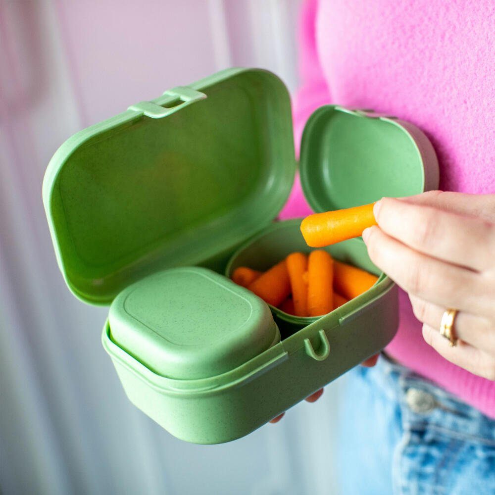 CANDY READY Lunchbox-Set + Besteck – Leckerdicht, BPA-frei, In Nature Leaf Green