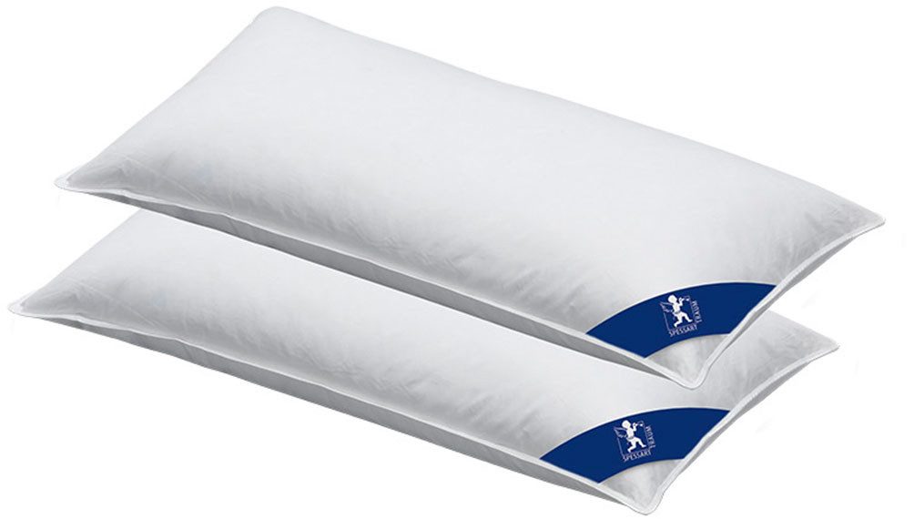 SPESSARTTRAUM 3-Kammer-Kopfkissen Laax Sparset, Kissen 40x80, günstig online kaufen