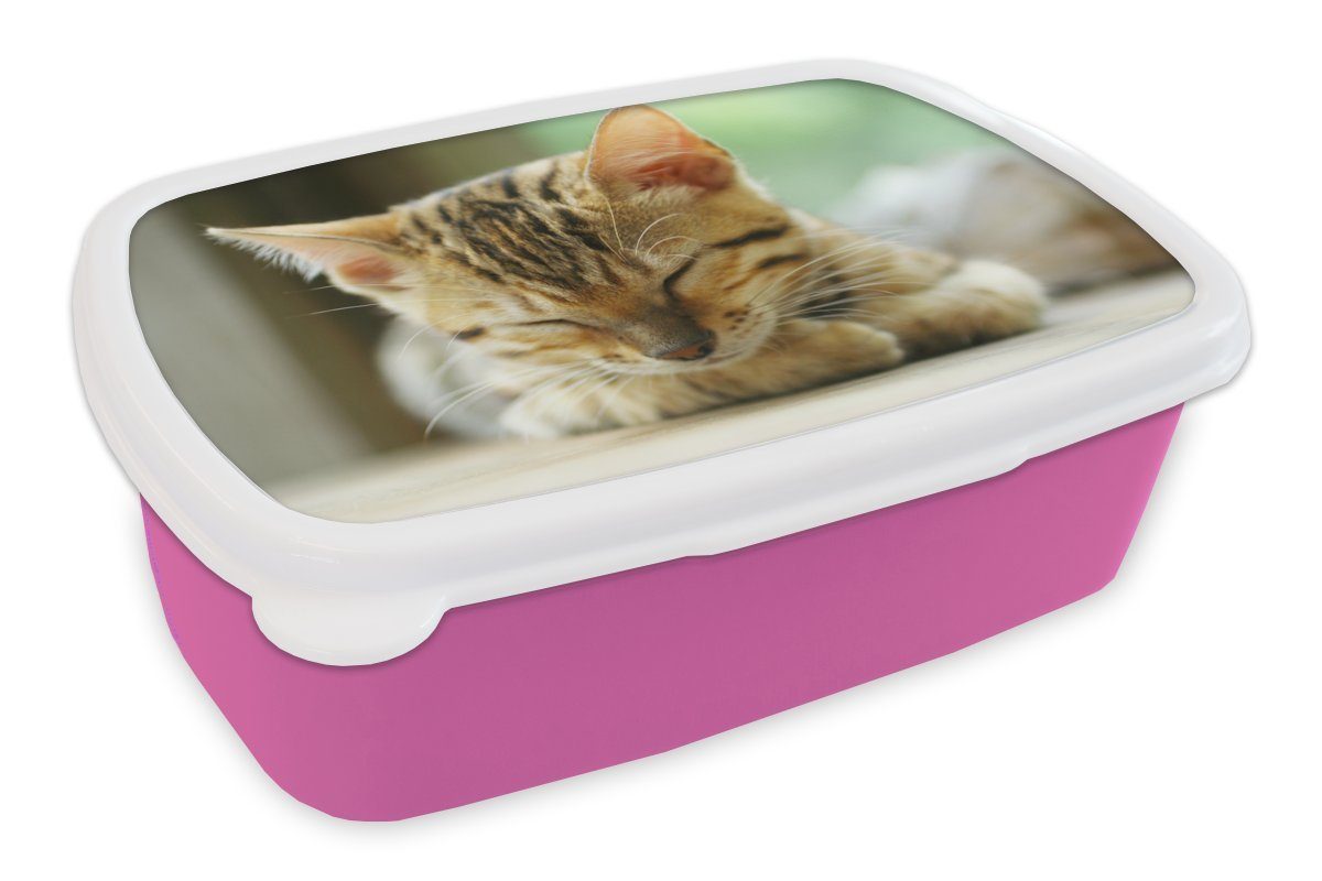Brotbox Erwachsene, Kunststoff schlafendes Kunststoff, Snackbox, für Kinder, Kätzchen, Brotdose MuchoWow (2-tlg), rosa Lunchbox Mädchen, Ein