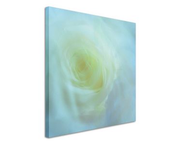 Sinus Art Leinwandbild Naturfotografie – Weiße Rose auf Leinwand