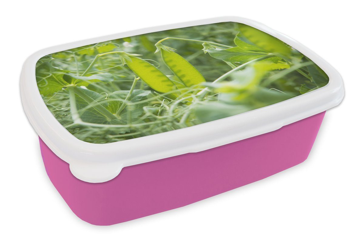MuchoWow Lunchbox Gemüse - Grün - Bohnen, Kunststoff, (2-tlg), Brotbox für Erwachsene, Brotdose Kinder, Snackbox, Mädchen, Kunststoff rosa