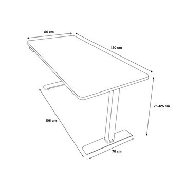 HOME DELUXE Schreibtisch Höhenverstellbarer Schreibtisch elektrisch LUMINA - 120 x 60 cm (2-St), Mit Memory Steuerung, USB-Buchse & Touchscreen I Stehschreibtisch