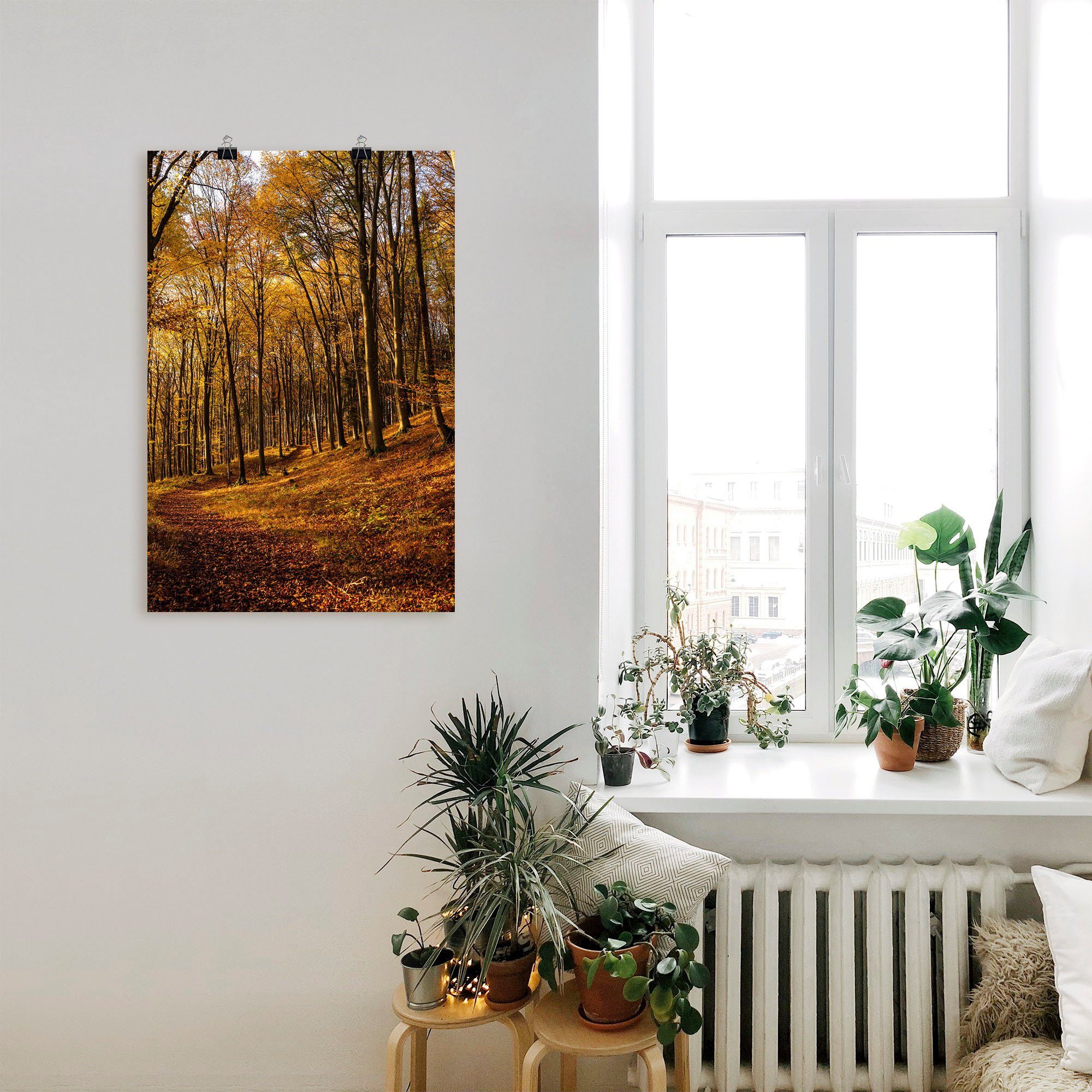 Artland Wandbild Schöne Herbstfarben Poster (1 Größen Alubild, oder Wandaufkleber in Waldbilder Sonnenuntergang, versch. St), als Leinwandbild, bei