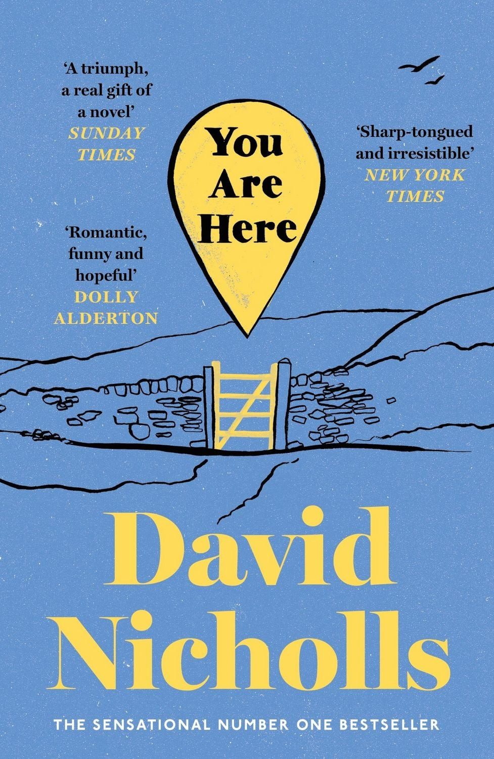 You Are Here / David Nicholls