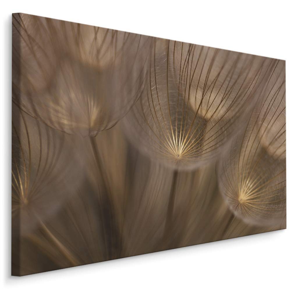 Muralo Leinwandbild Landschaft – Leinwandbild Wandbild Kunstdruck Wohnzimmer, Gewässer (1 St), Blumen – Pusteblumen – Löwenzahn, 40 x 30 cm, aufhängefertig