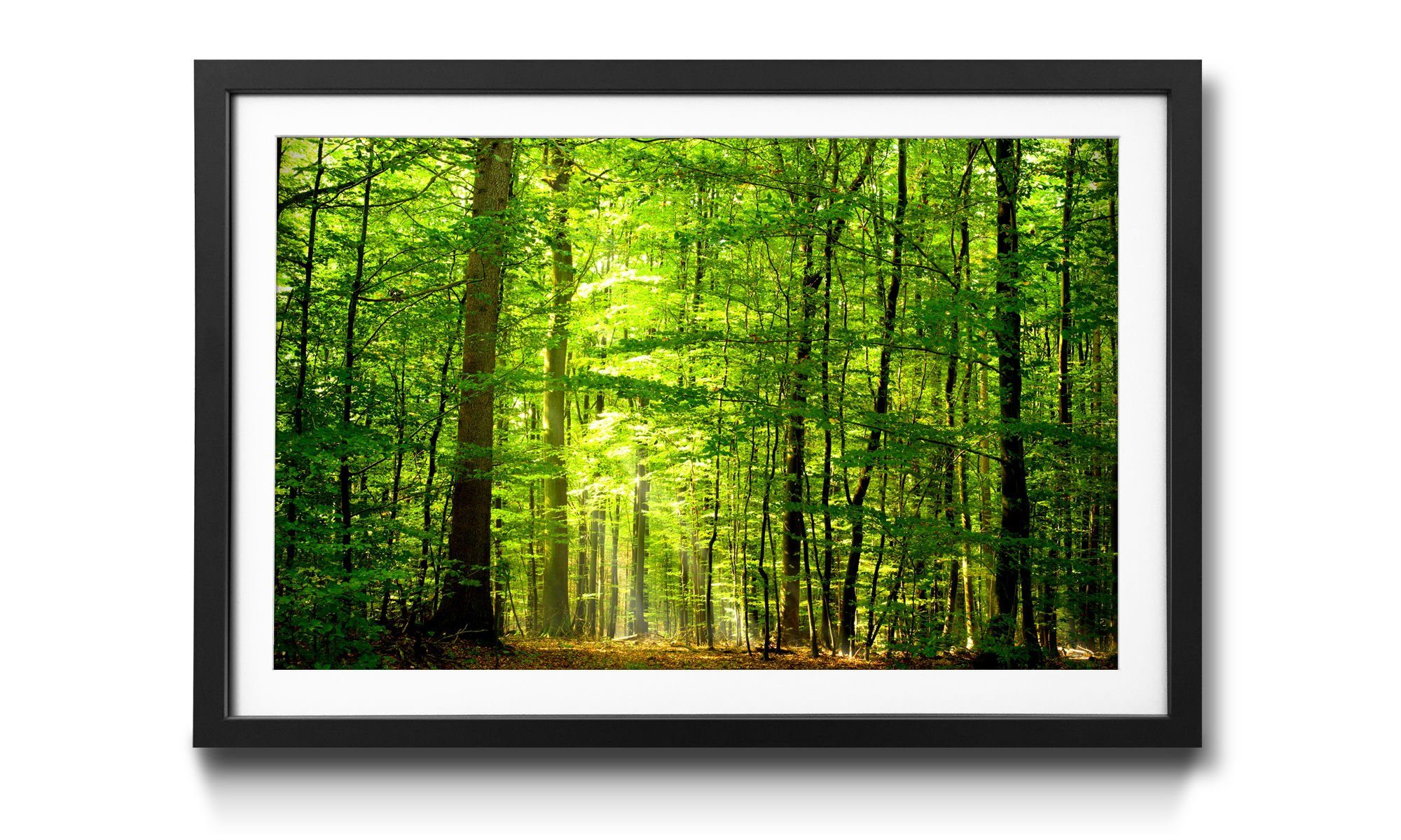 in erhältlich Forest, Into Rahmen mit Wald, Wandbild, The Bild Größen 4 WandbilderXXL