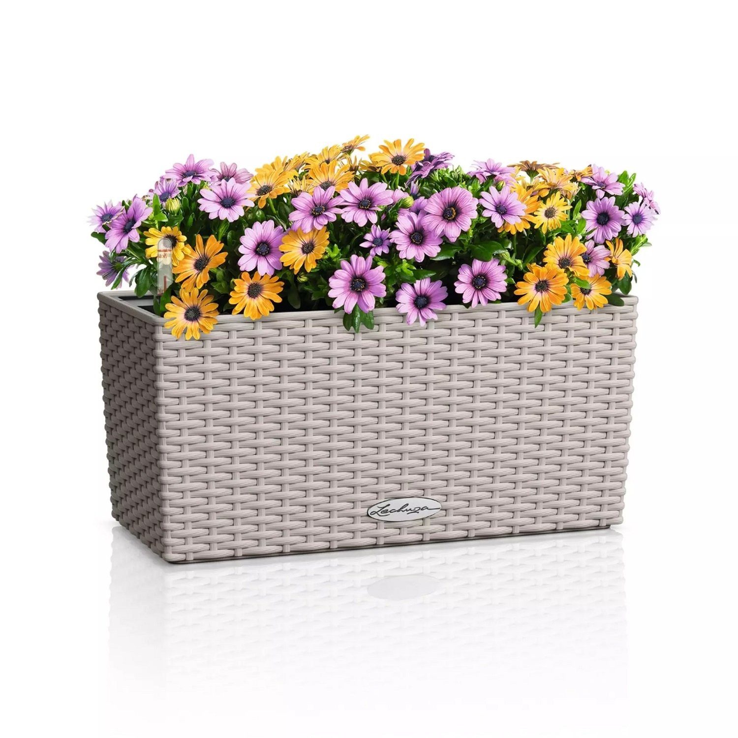 Lechuza® Balkonkasten Balconera Cottage 40 sandbraun