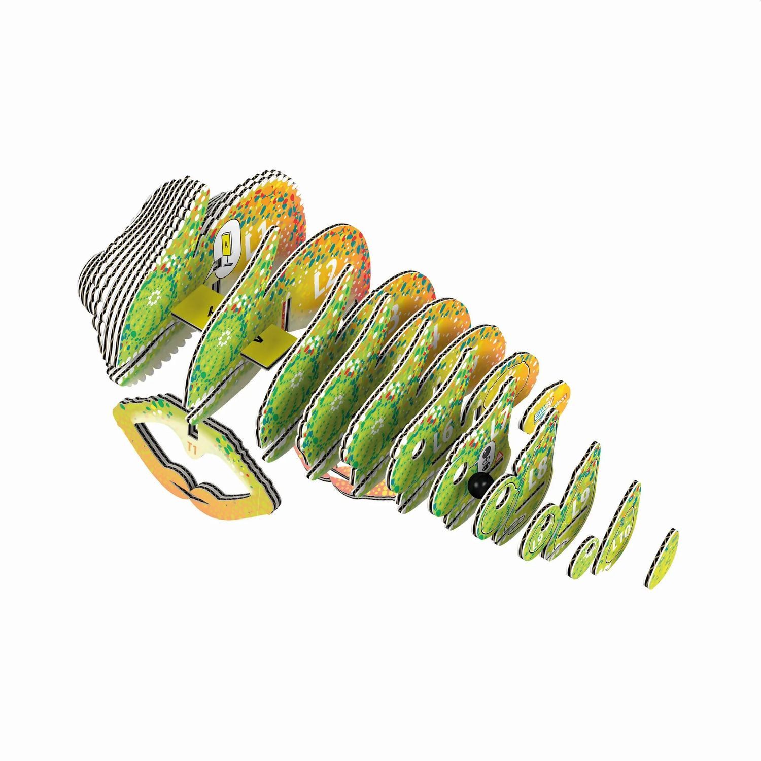 BrainBox Spiel EUGY - 3D Bastelset Chamäleon