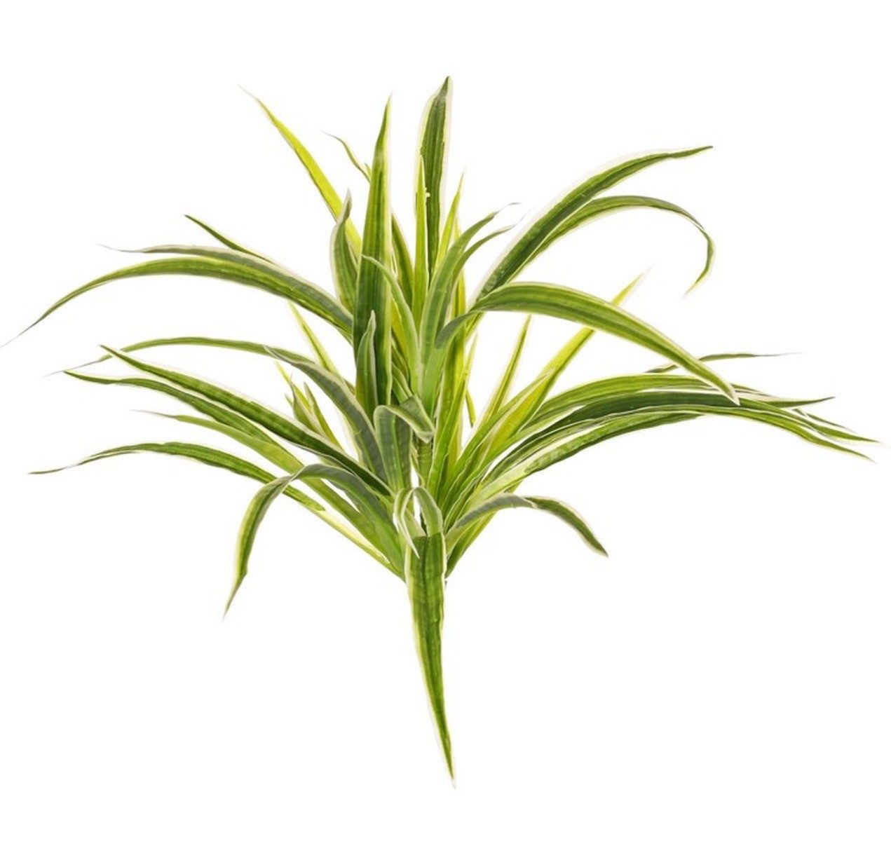 Künstliche Zimmerpflanze Künstliche Grünlilie Tasmin auf Steckstab, grün-weiß, 35cm, Ø40cm Grünlilie, artplants, Höhe 35.0 cm