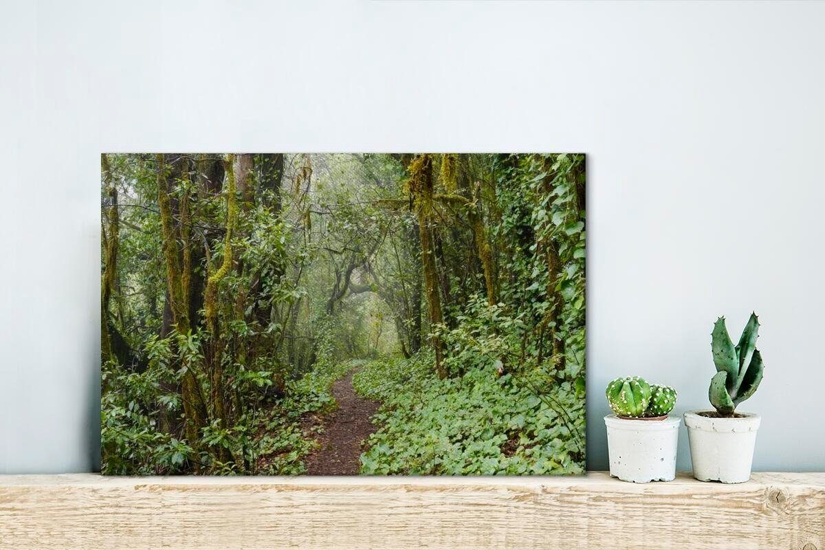 OneMillionCanvasses® Leinwandbild Pfad Wanddeko, des auf durch Aufhängefertig, die St), Wälder cm Leinwandbilder, Nationalparks Garajonay 30x20 (1 Wandbild Teneriffa