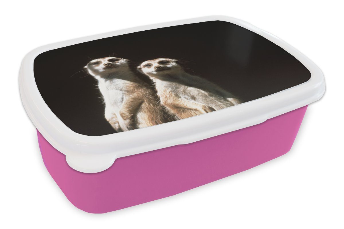 MuchoWow Lunchbox Schwarz - Erdmännchen - Tiere, Kunststoff, (2-tlg), Brotbox für Erwachsene, Brotdose Kinder, Snackbox, Mädchen, Kunststoff rosa