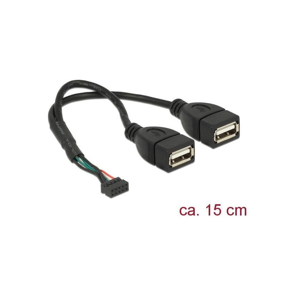 DeLOCK USB 2.0 Y-Kabel 10 Pin > 2x USB-A Buchse USB-Kabel