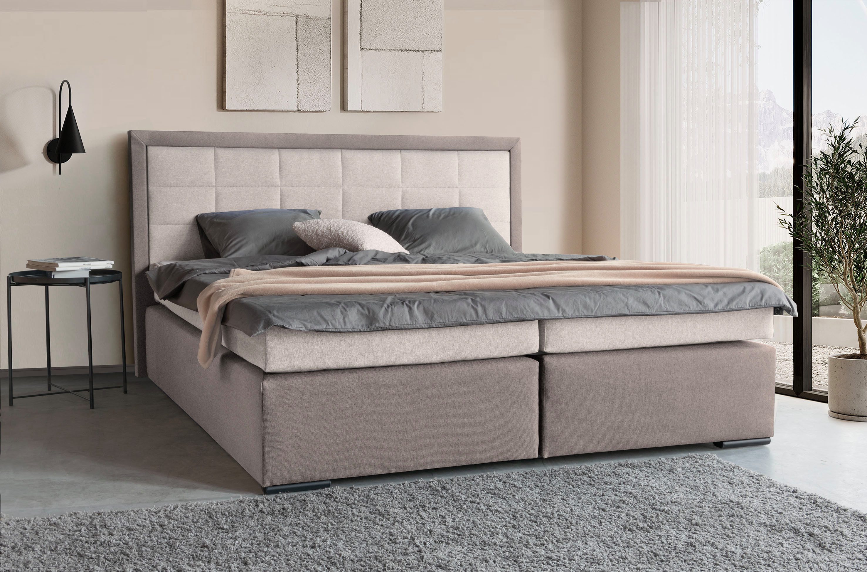 COLLECTION AB Boxspringbett 30 Jahre Jubiläums-Modell günstig online kaufen