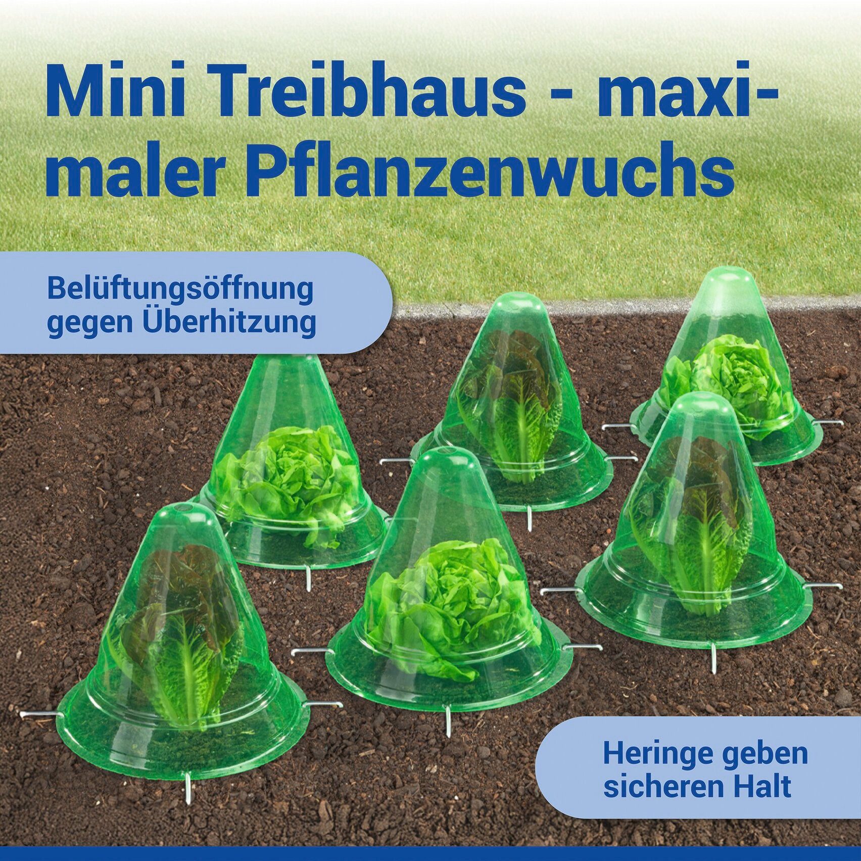 Maximex Pflanzenschutzdach 6 Stück Pflanzenhut, schützt Setzlinge vor Witterung & Schädlingen, für Beet & Hochbeet – Bild 4 von 5