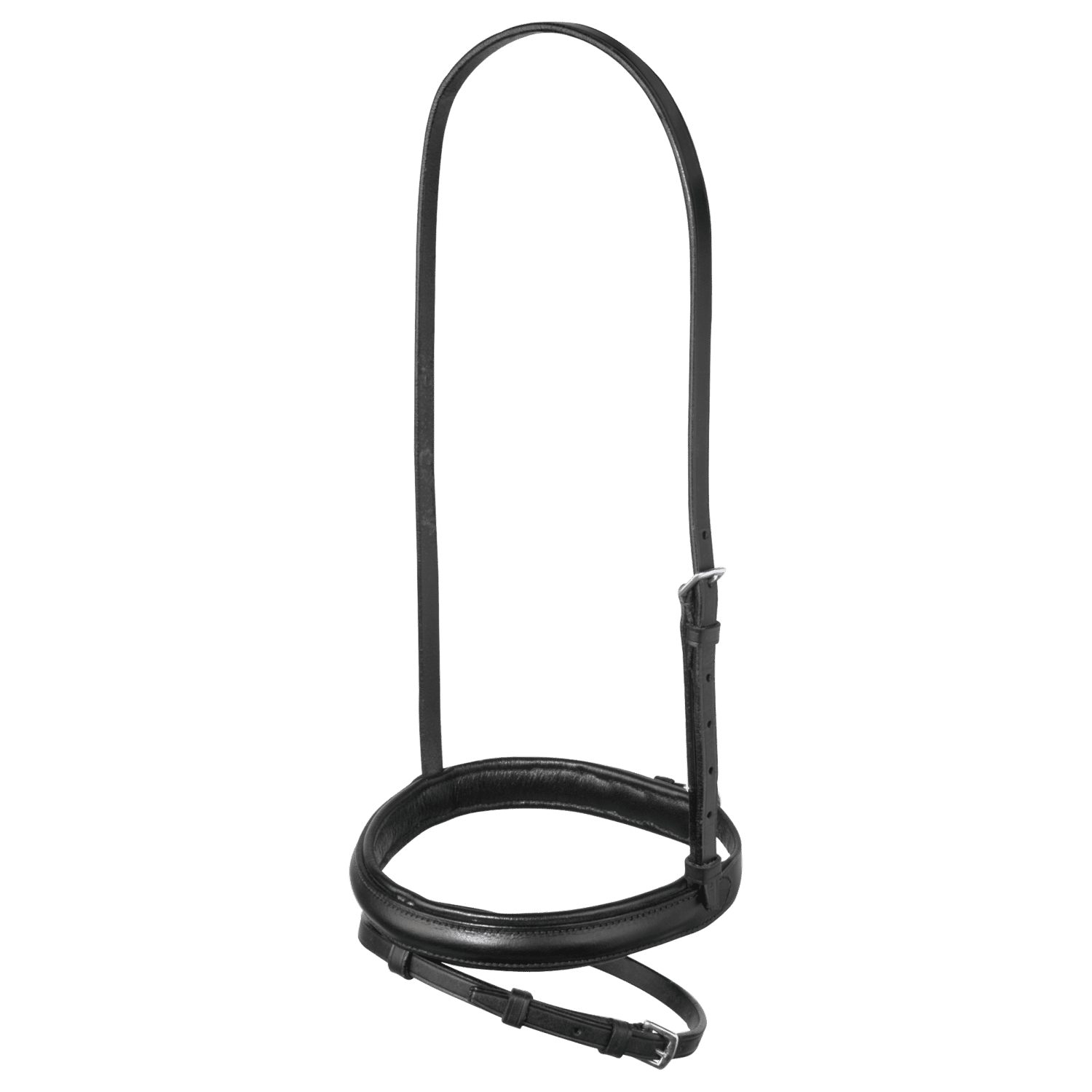 BUSSE Halfter Reithalfter Englisch-Kombiniert