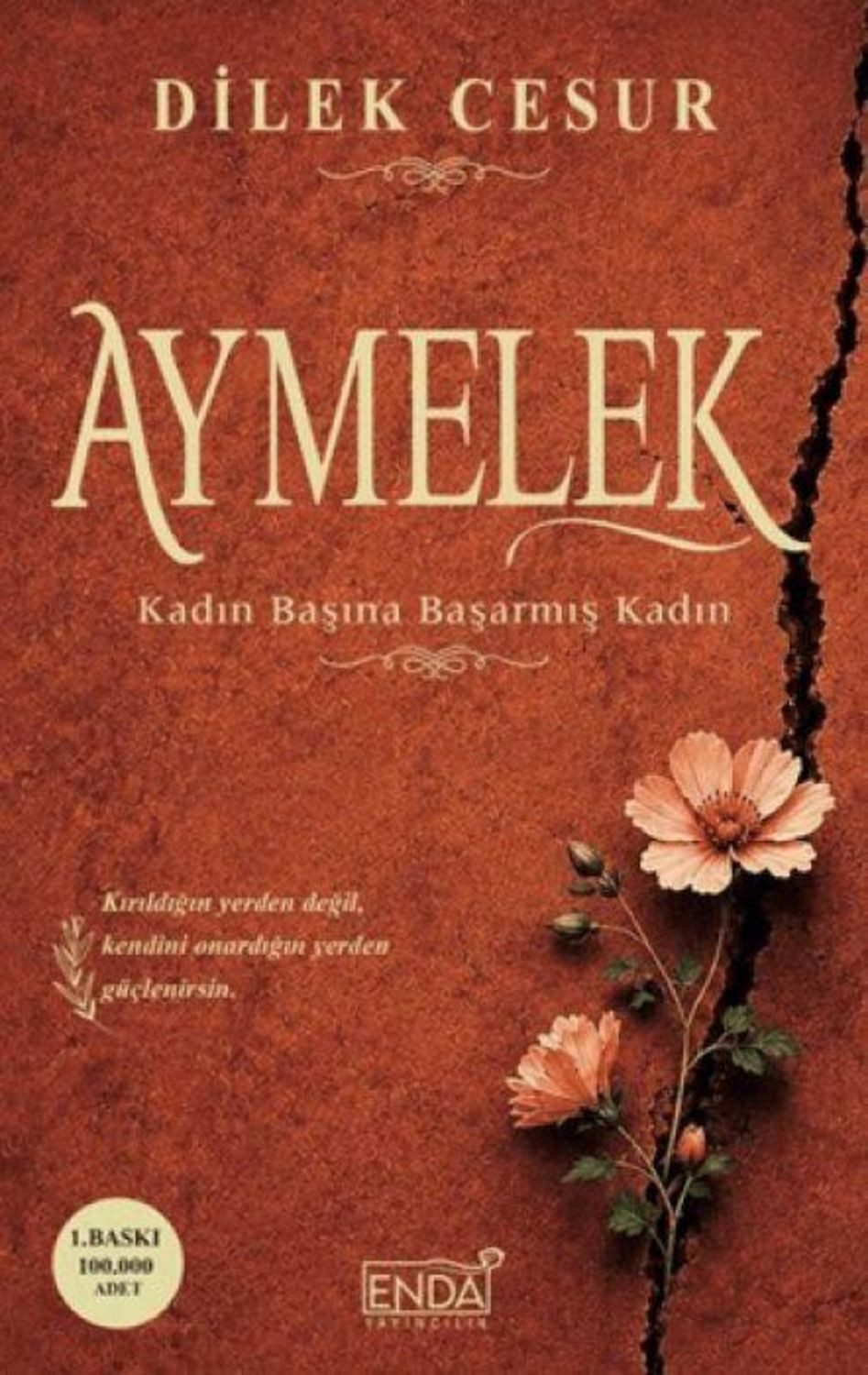 Aymelek / Dilek Cesur