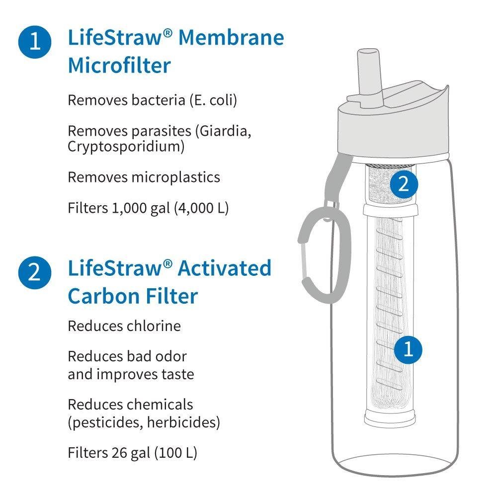 LifeStraw Trinkflasche Edelstahl Steel, Filter spülmaschinenfest Wasserflasche 0,7l Camping grau Go Stainless mit