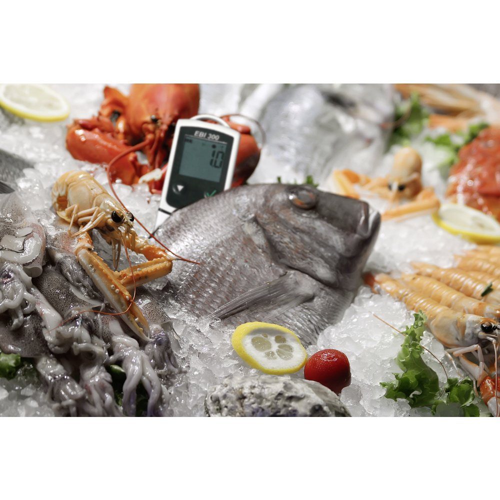 ebro Klimamesser ebro 1340-6330 EBI 300 Temperatur-Datenlogger Messgröße Temperatur -3, (EBI 300)