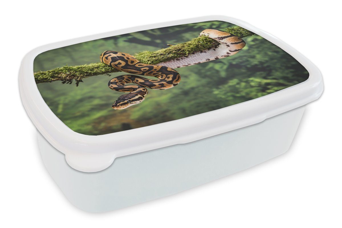 MuchoWow Lunchbox Schlange - Zweig und Kinder Jungs (2-tlg), für Regenwald, Erwachsene, weiß - Mädchen für Brotbox Kunststoff, Brotdose, und
