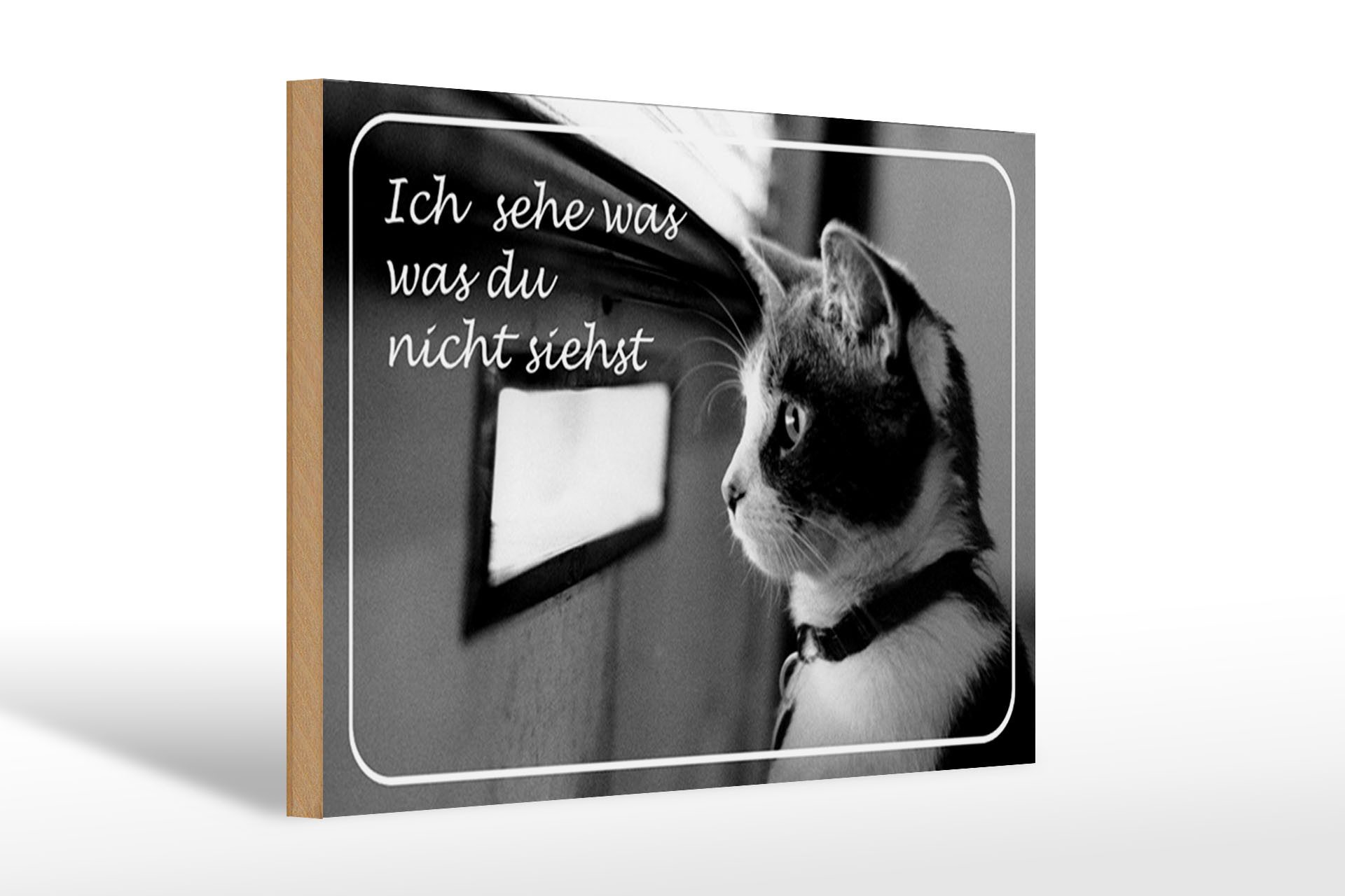 Femer GmbH Holzbild Katze 30x20cm ich sehe was du nicht siehst, Sprüche Zitate Lustiges (1 St), Glatte Holzfaserplatte (MDF), vorn beschichtet
