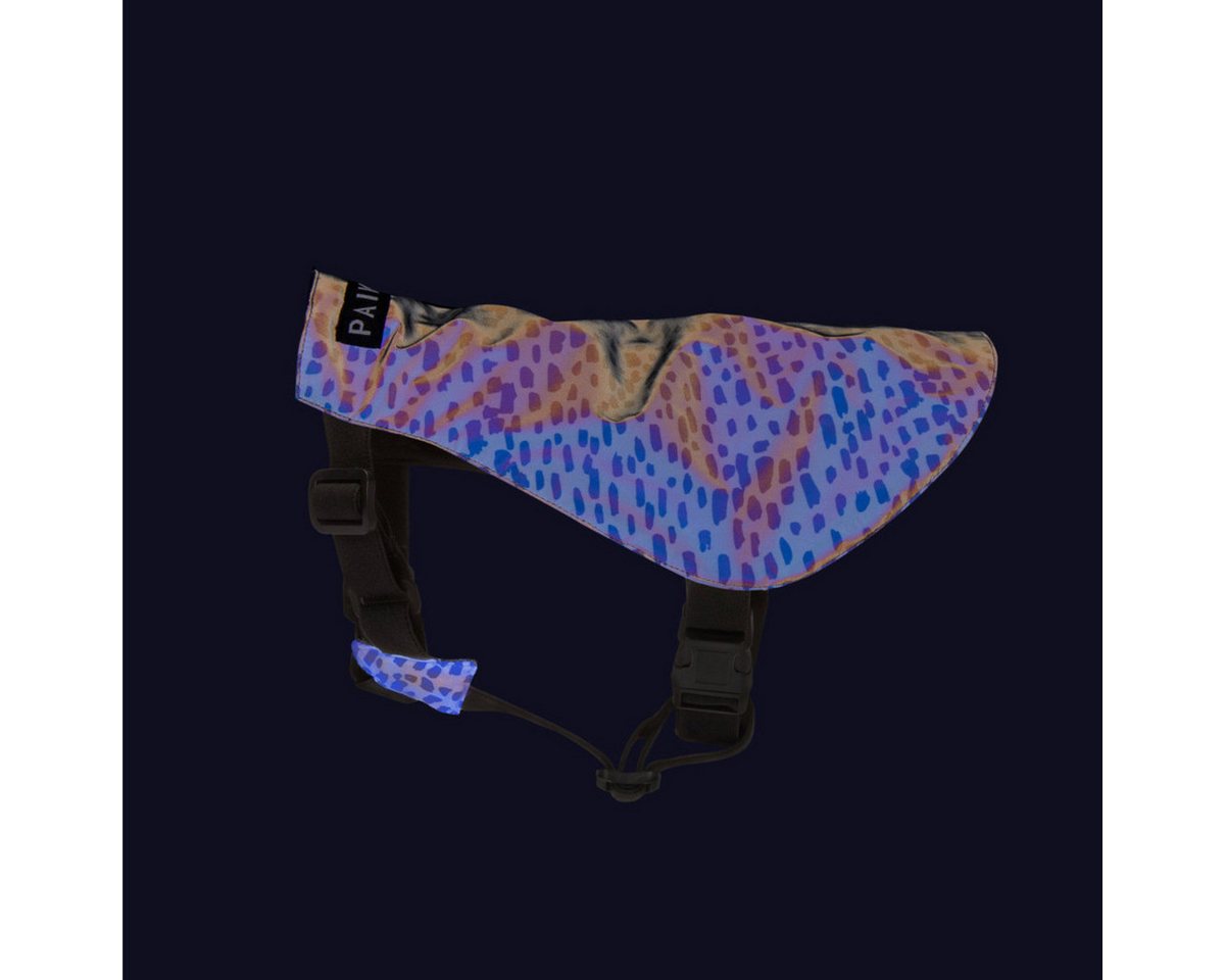Thumbnail - PAIKKA Hundeweste Hundeweste "Y-Vest" 2.0