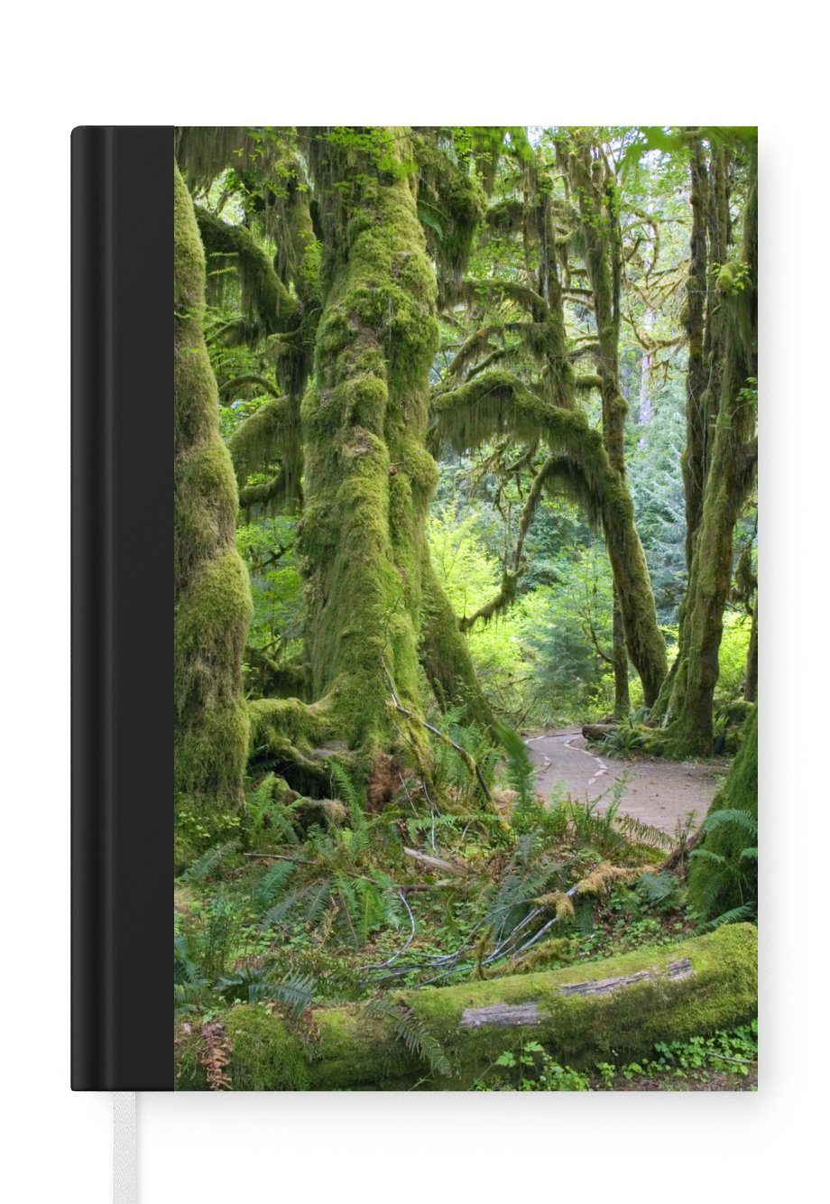 MuchoWow Notizbuch Bewaldete Baumstämme Notizheft, A5, in einem Merkzettel, 98 Washingtoner Regenwald, Journal, Haushaltsbuch Seiten, Tagebuch