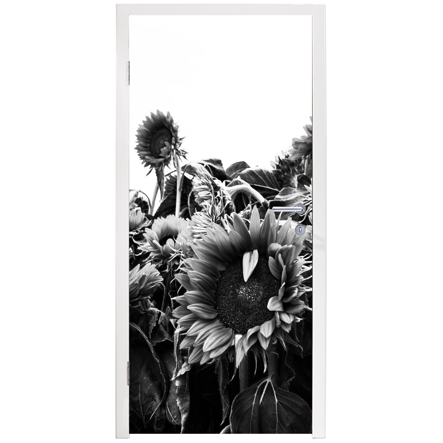 für 75x205 in Türtapete Sonnenblumen Holland cm bedruckt, weiß, MuchoWow und St), Tür, Türaufkleber, (1 schwarz Fototapete Matt,