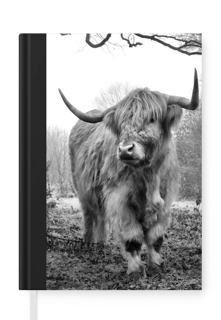 - Merkzettel, Haushaltsbuch Tagebuch, Notizbuch Tiere - - Seiten, A5, - Highlander Notizheft, Natur, Journal, Wald Kuh 98 MuchoWow Nebel - Schottischer