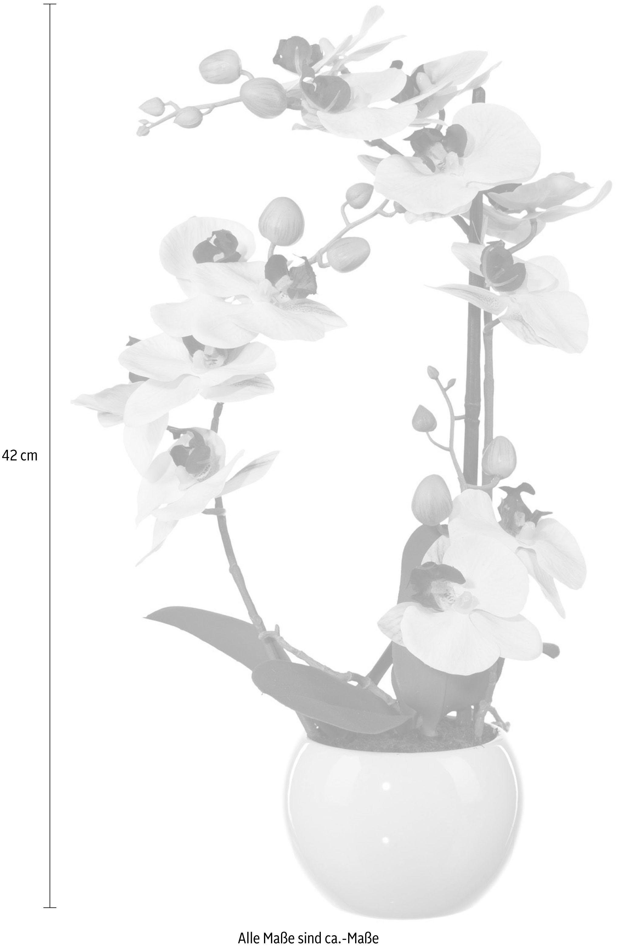 Kunstpflanze Phalaenopsis Orchidee, Creativ green, Höhe 42 cm günstig online kaufen
