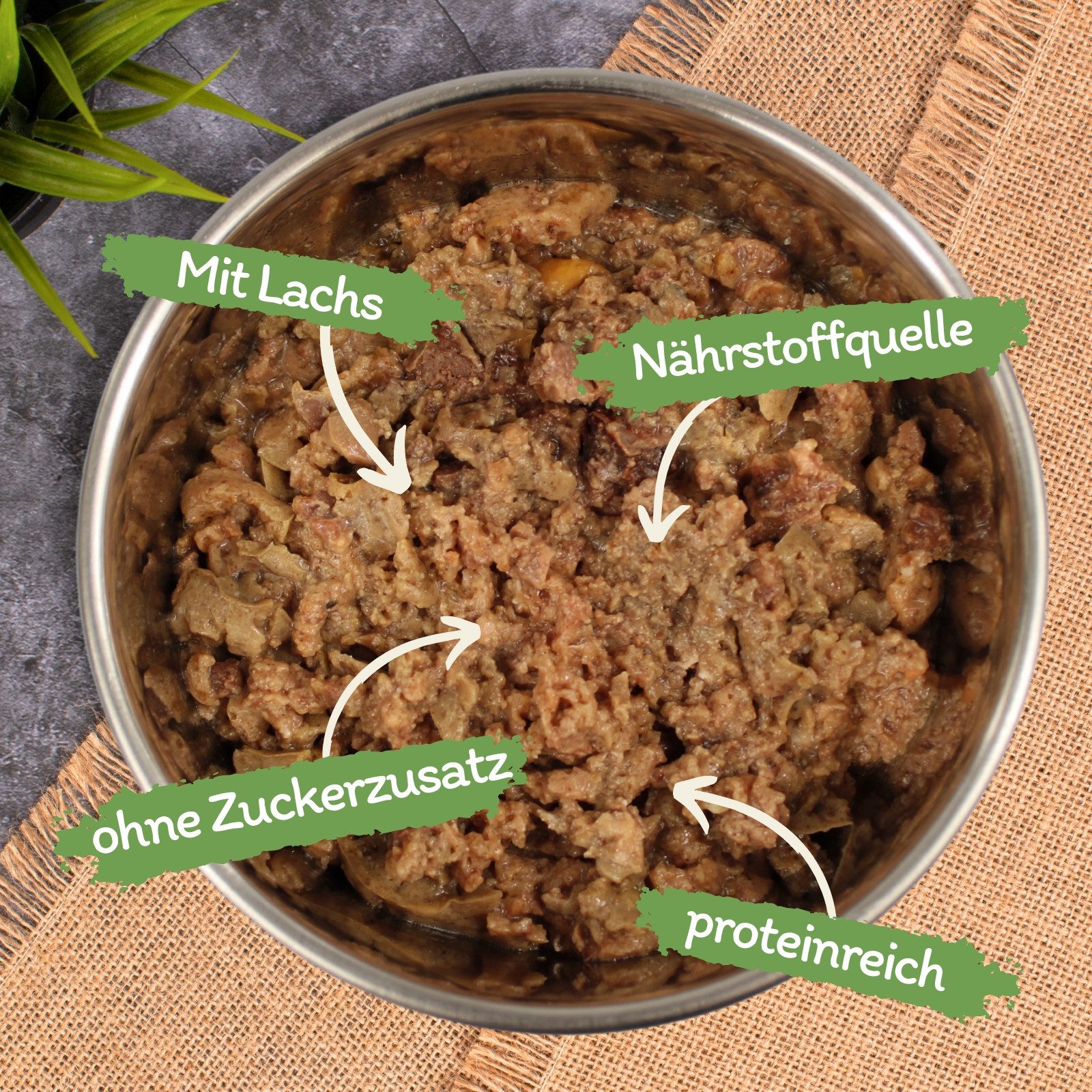 Lecker.Pet 17 x 100 g Lecker.Pet® Mia's Feine Paté Reich an Lachs Nassfutter Lachs, Nassfutter für: Katze