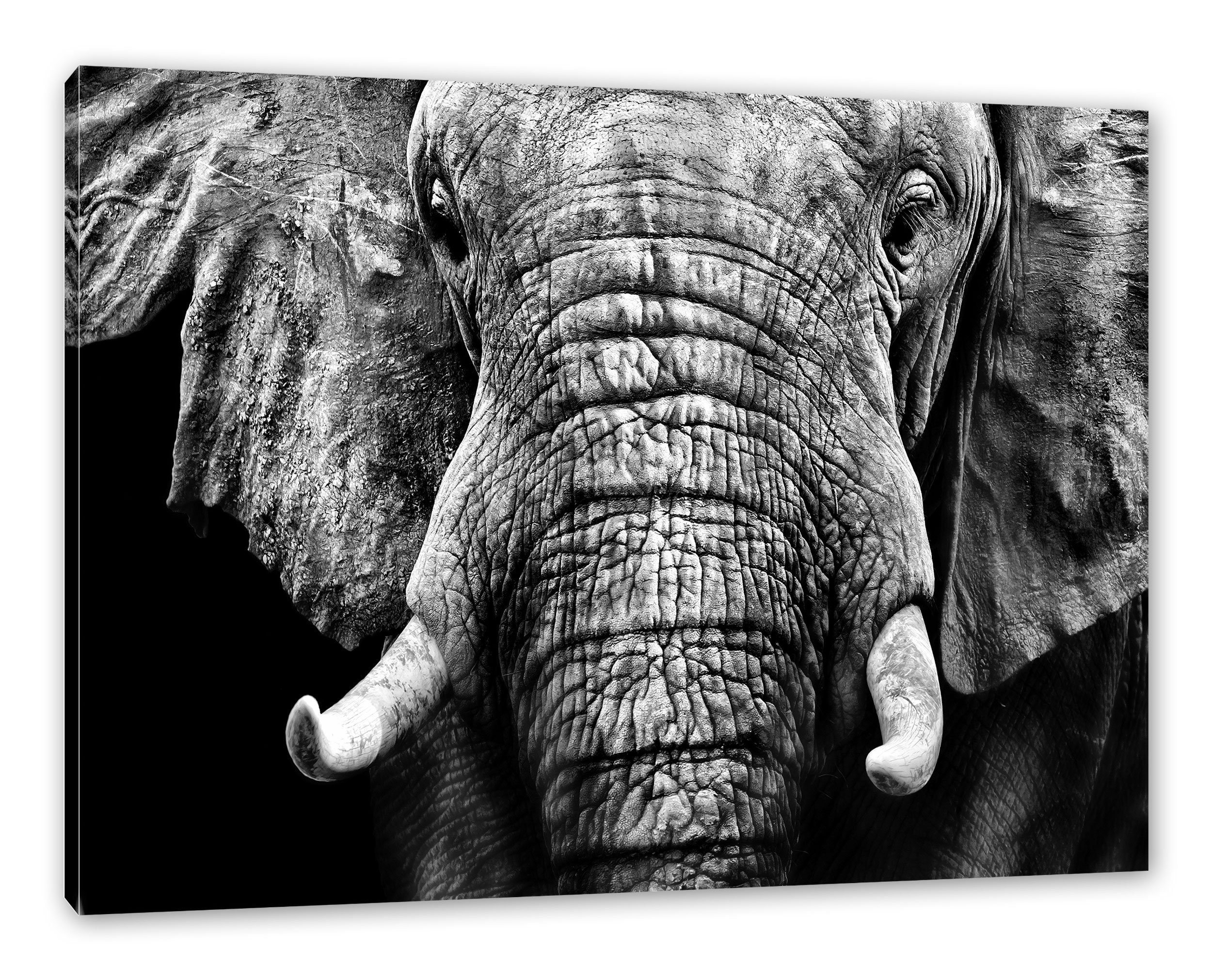 Pixxprint Leinwandbild Elefant Porträt, Elefant inkl. Porträt Zackenaufhänger Leinwandbild bespannt, fertig (1 St)