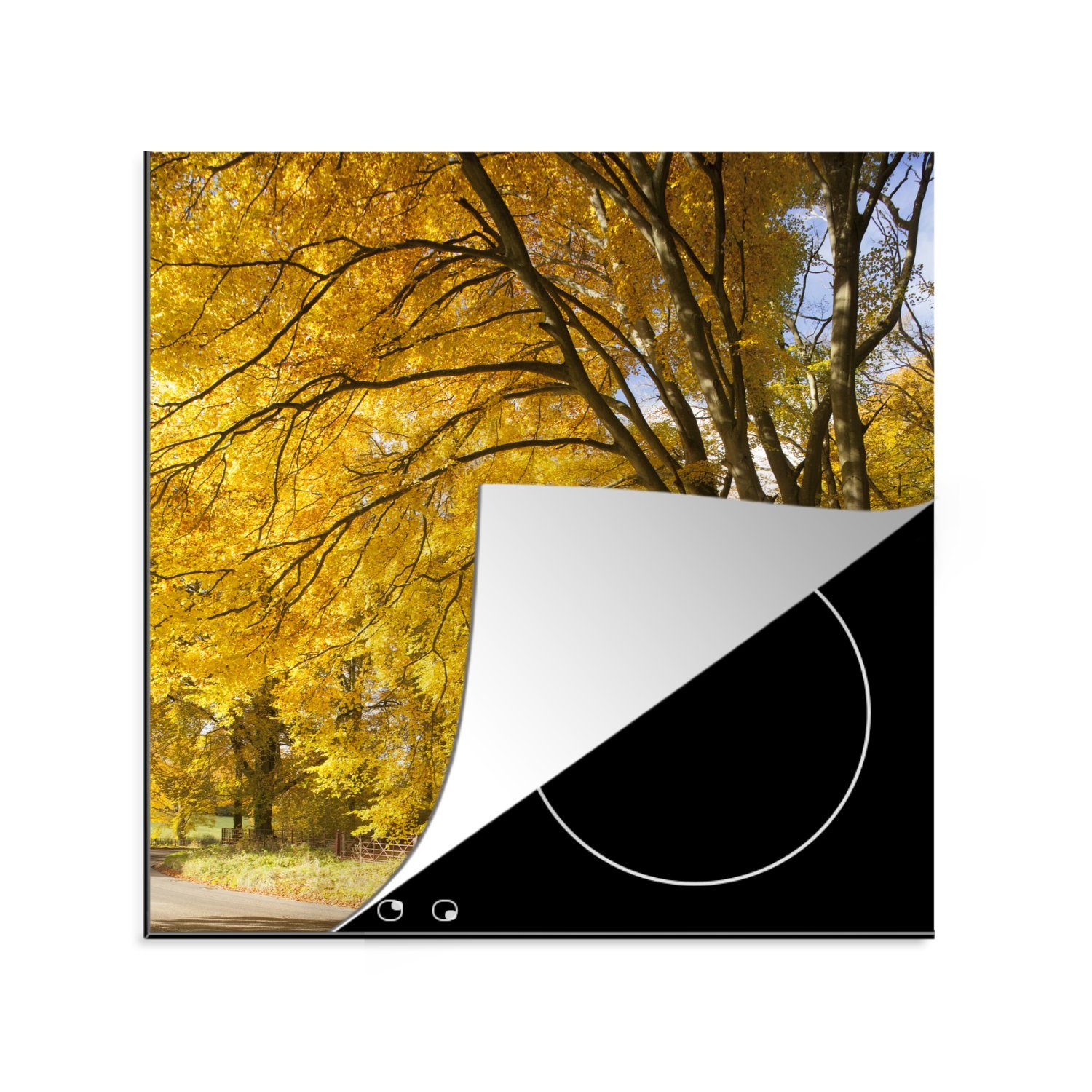 MuchoWow Herdblende-/Abdeckplatte Gelbe Blätter in den Wäldern des englischen New Forest National Park, Vinyl, (1 tlg), 78x78 cm, Ceranfeldabdeckung, Arbeitsplatte für küche